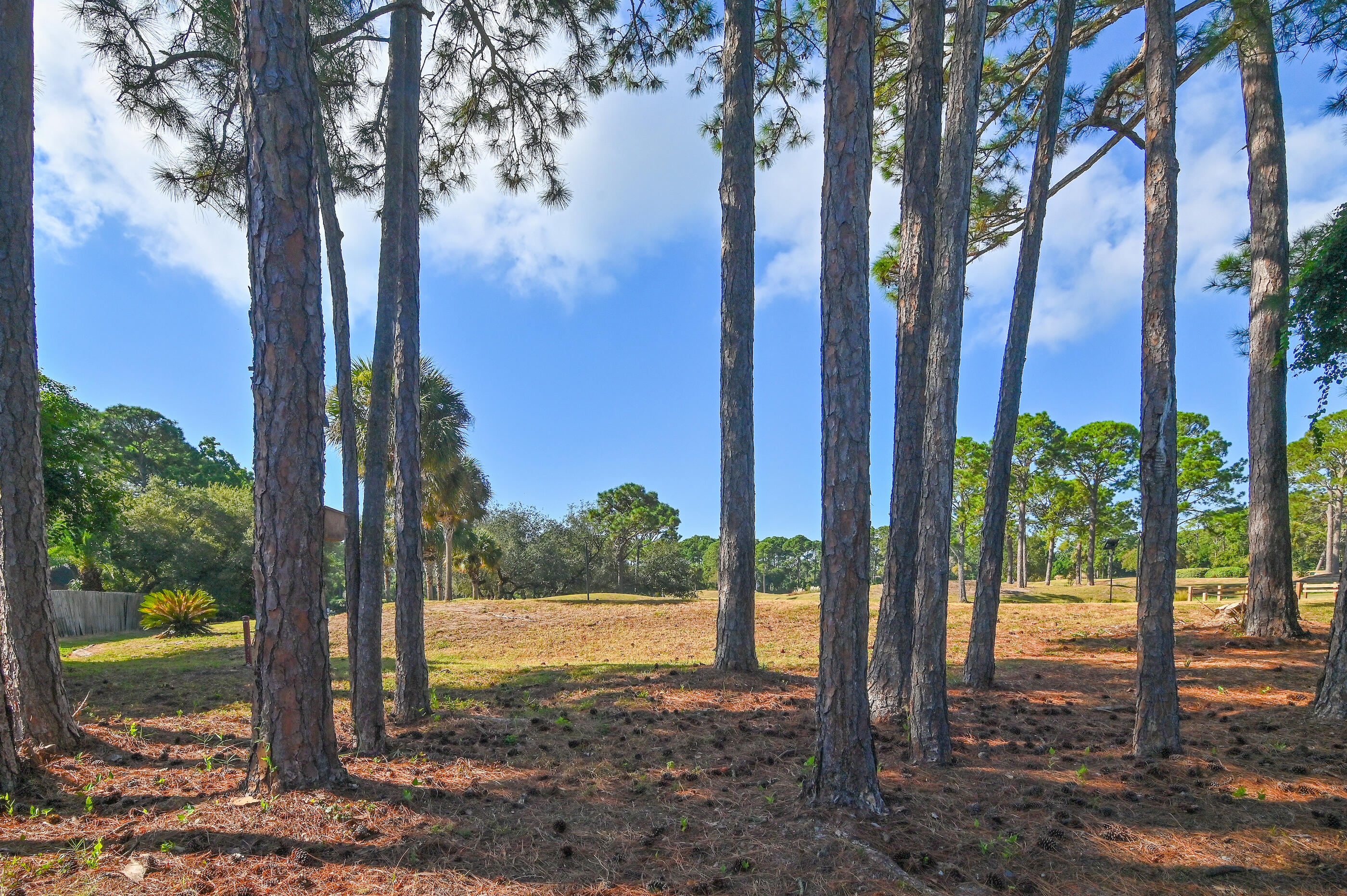 1361 Forest Shore Drive