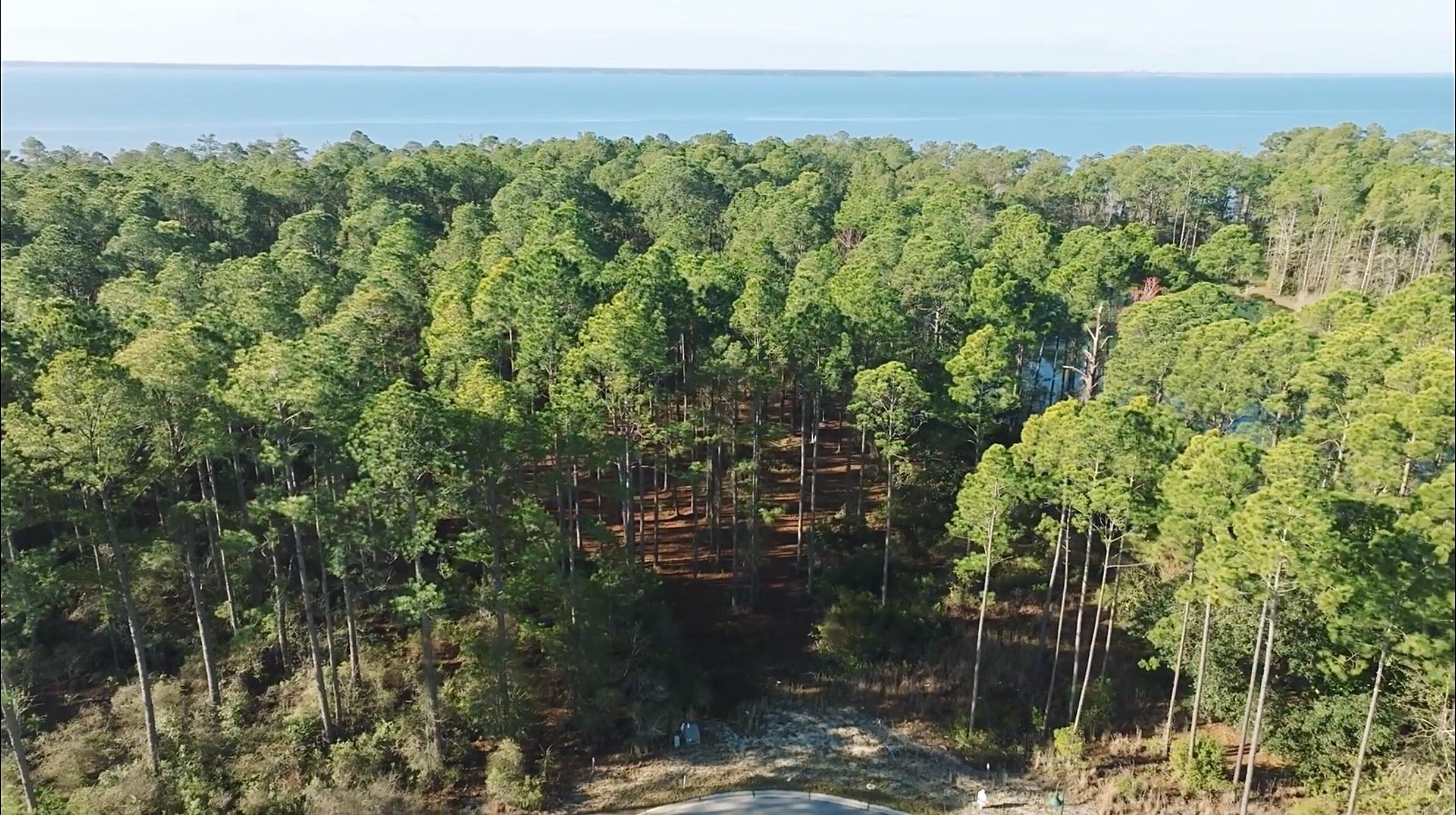 Lot 25 W Captain Fritz Way