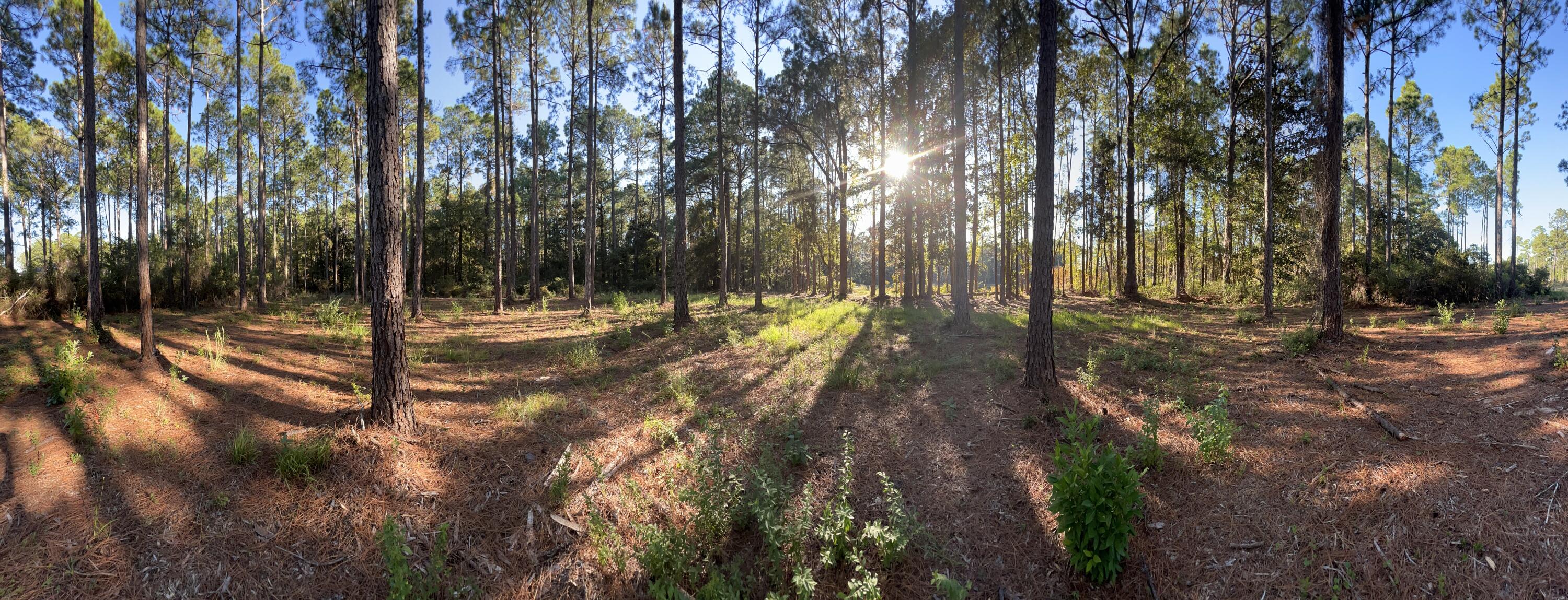 Lot 25 W Captain Fritz Way