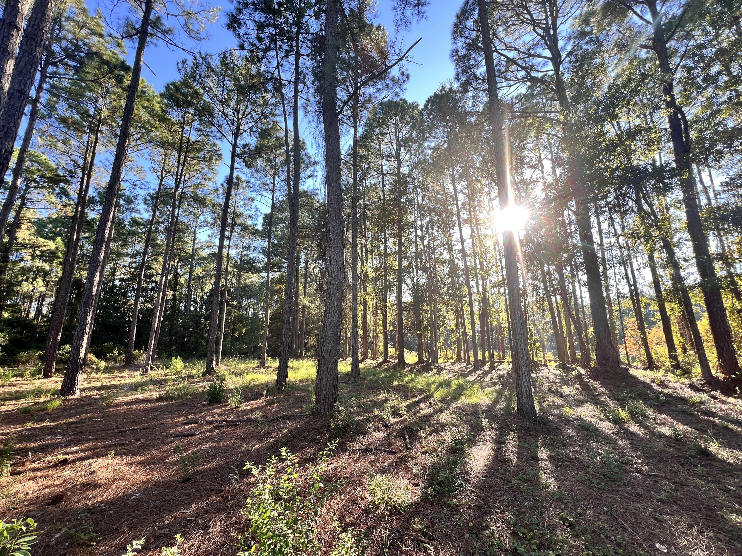 Lot 25 W Captain Fritz Way