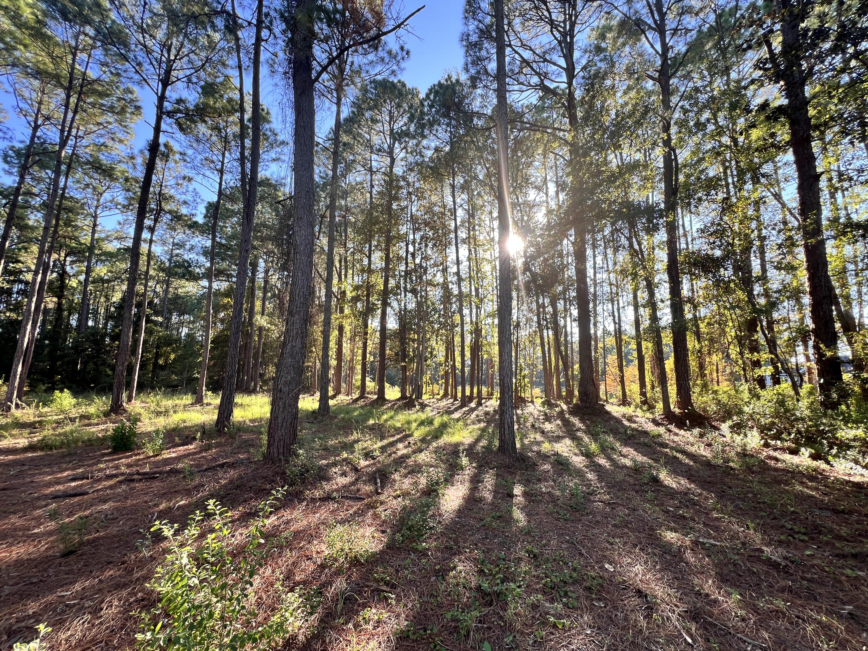 Lot 25 W Captain Fritz Way
