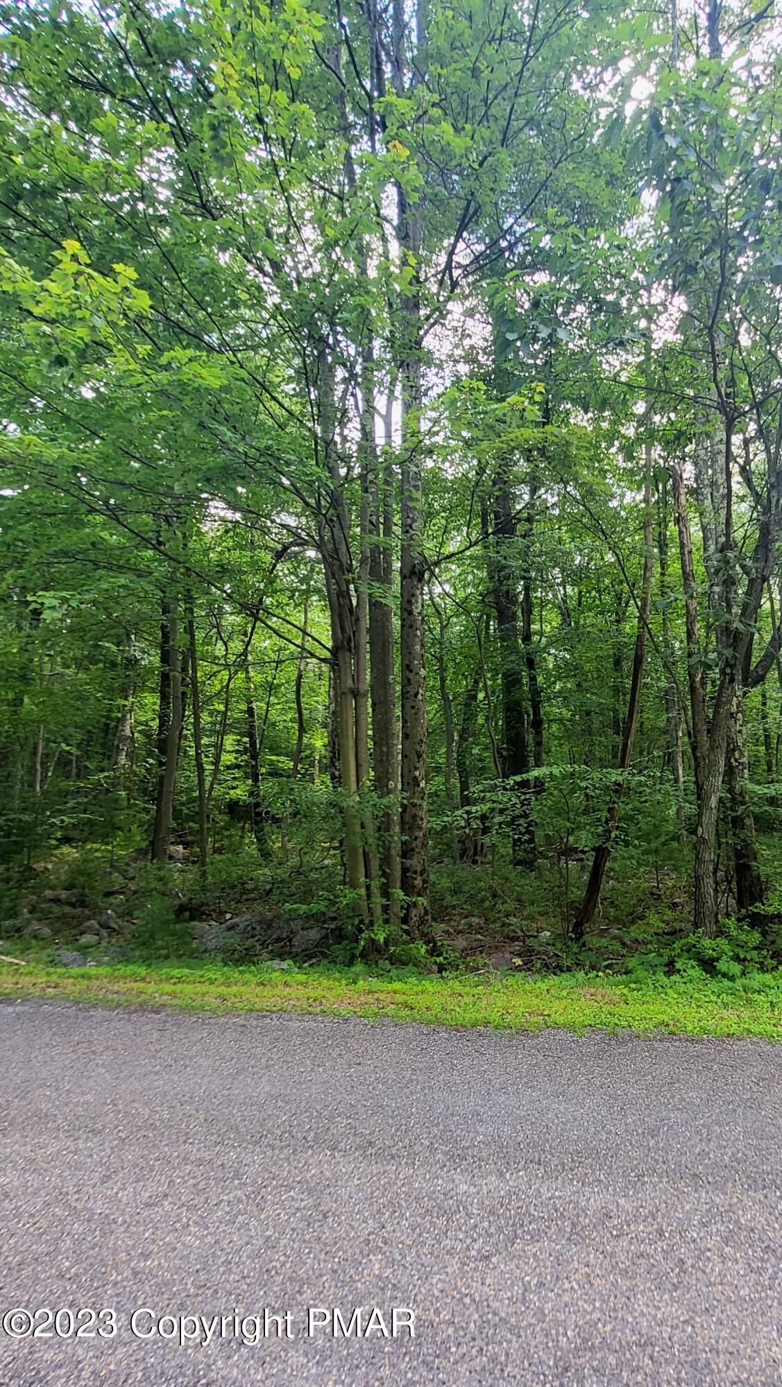 Cypress Drive