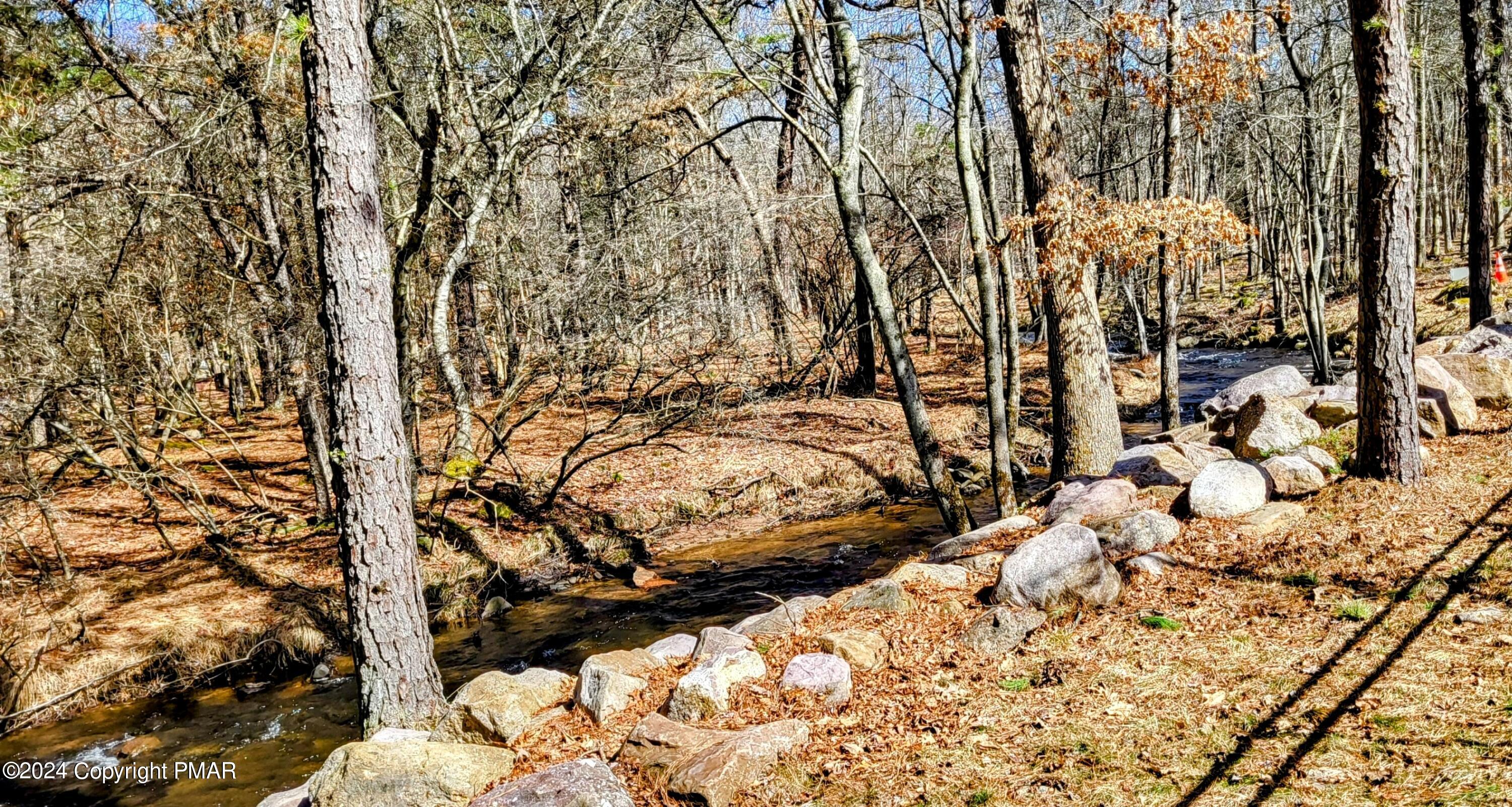123 Wintergreen Trail