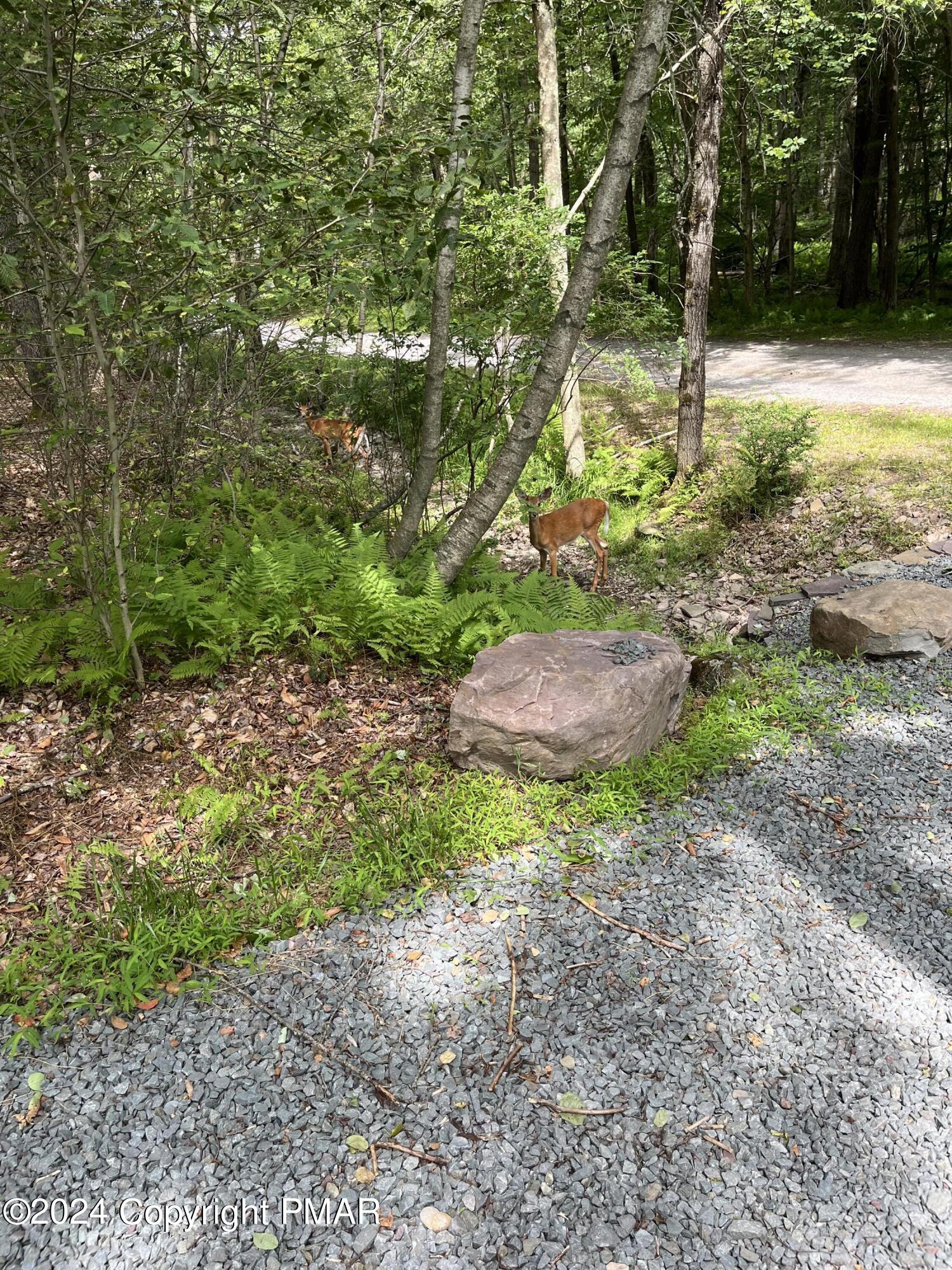 145 Pontiac Path