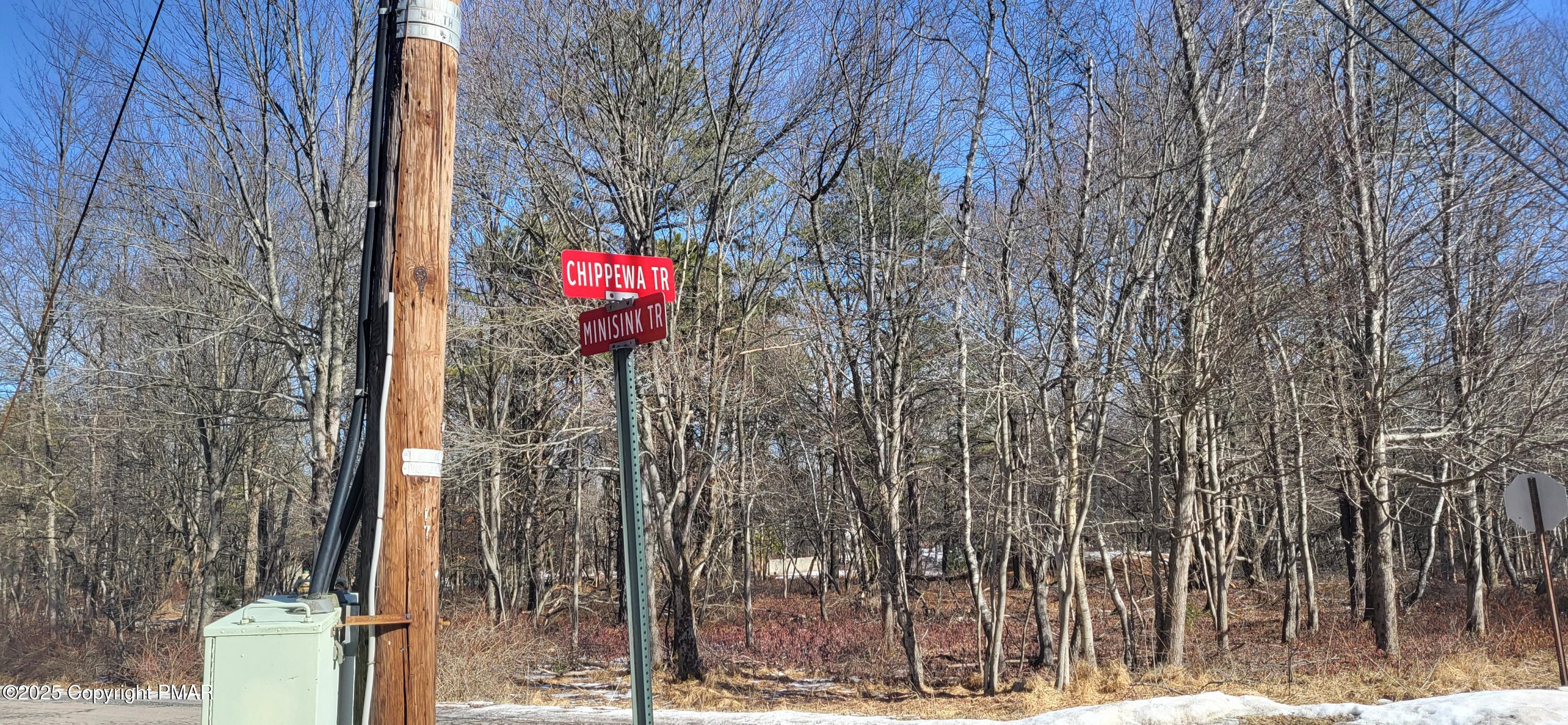 Minisink Chippewa Trail