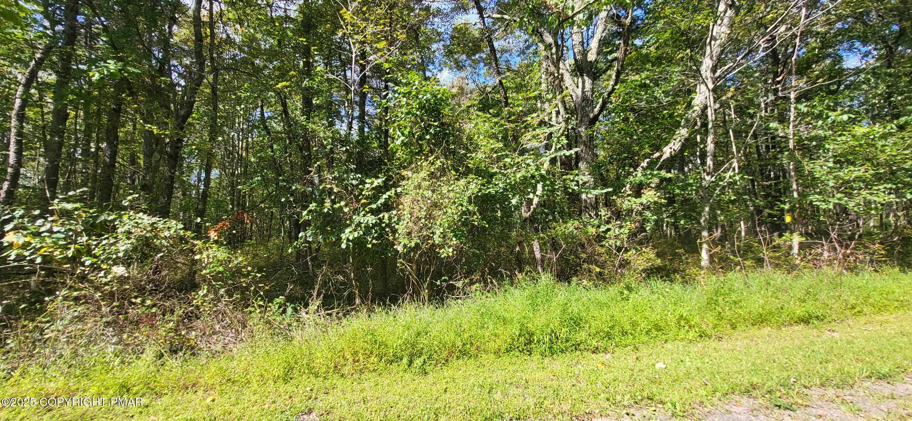 A187 White Oak Lane
