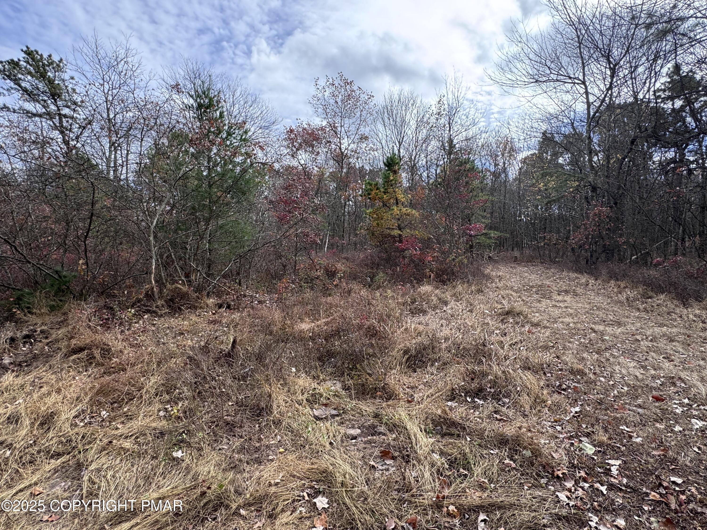 D299 Robertson Road