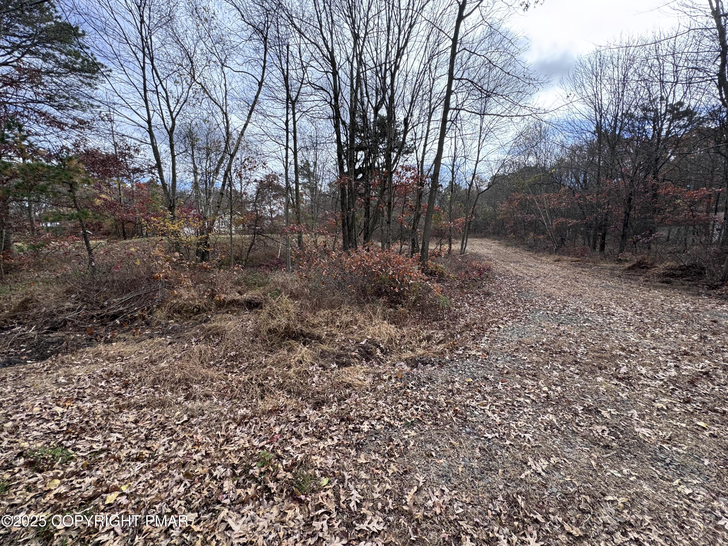 D299 Robertson Road