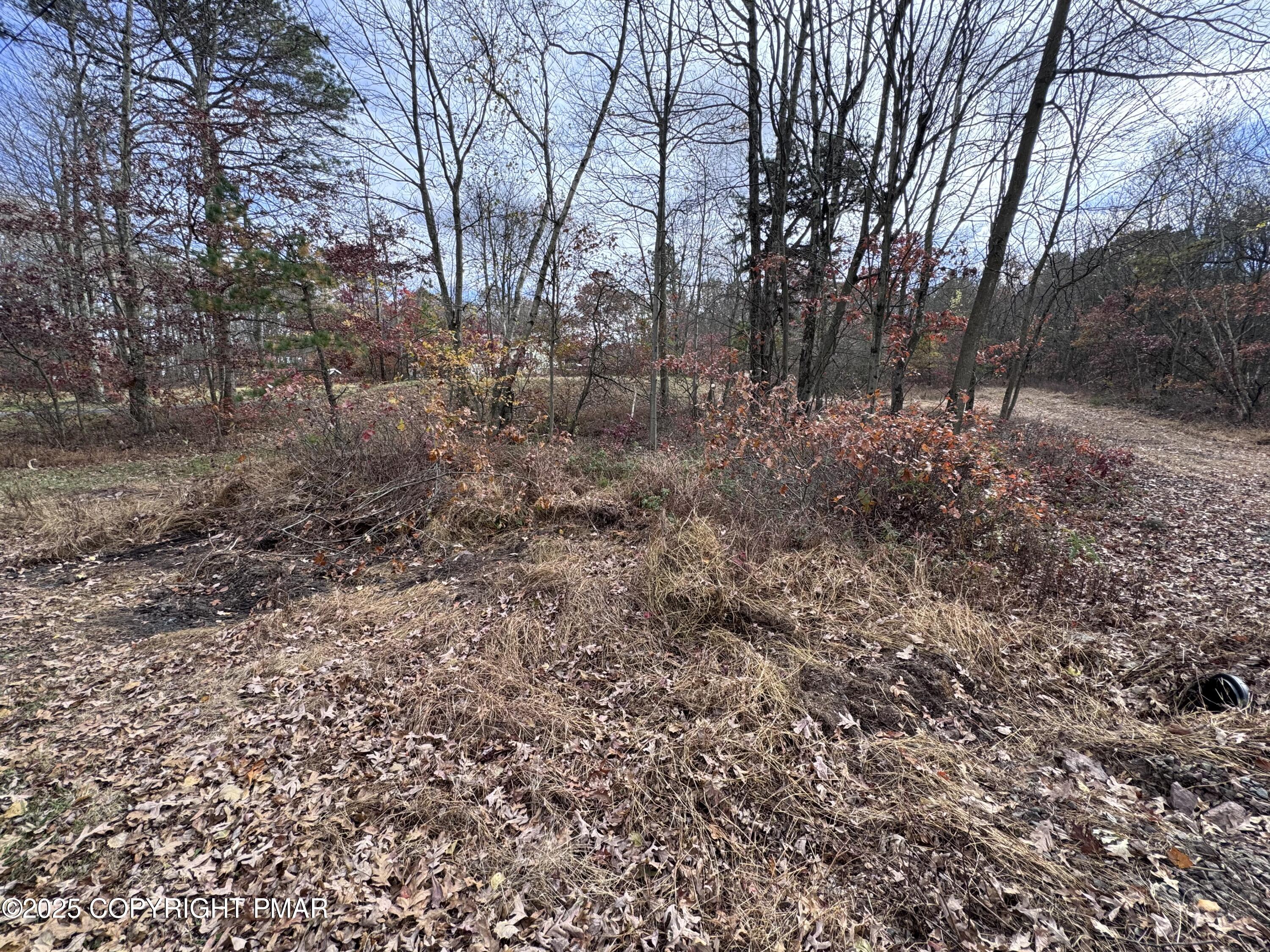 D299 Robertson Road