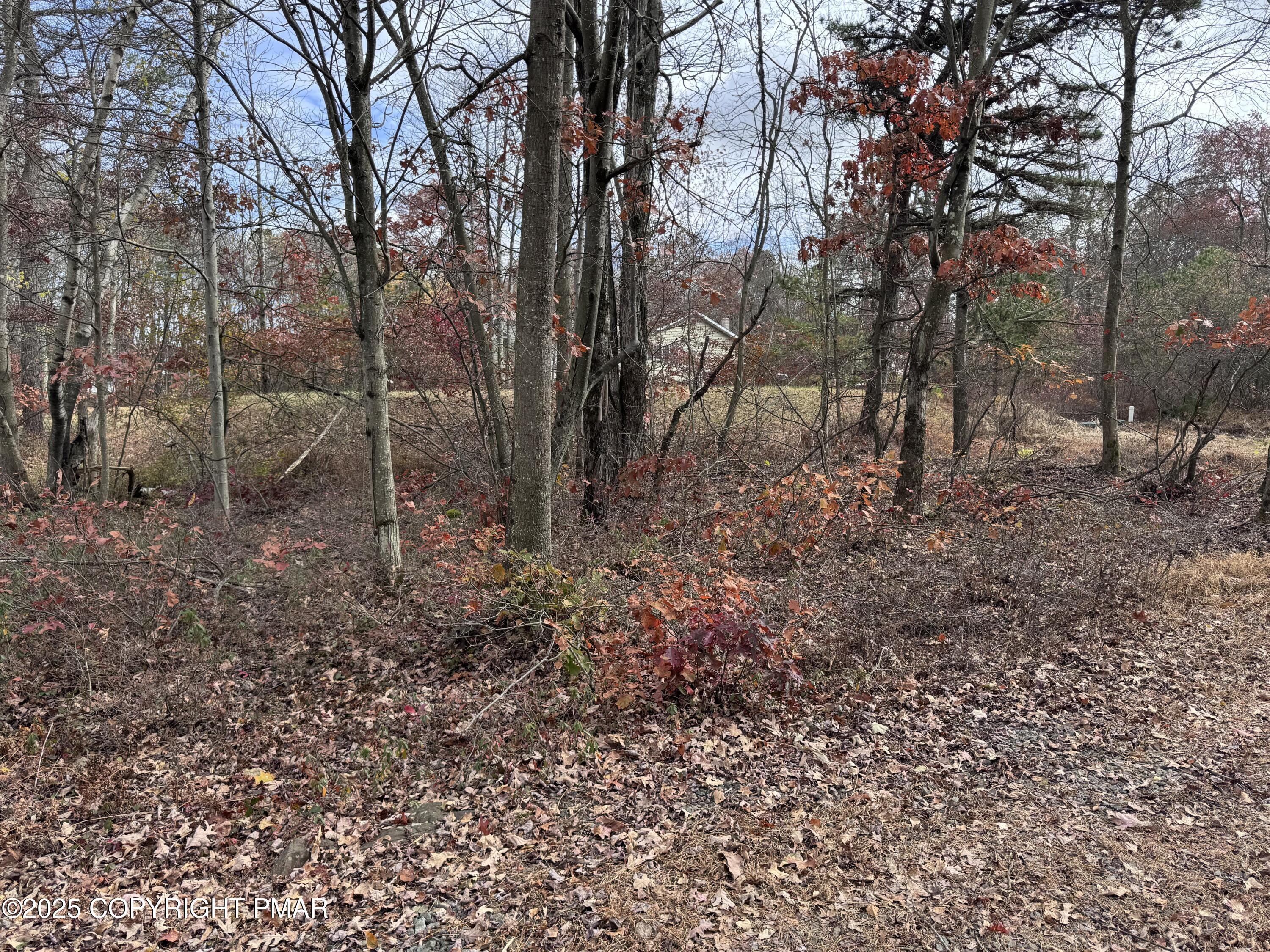 D299 Robertson Road
