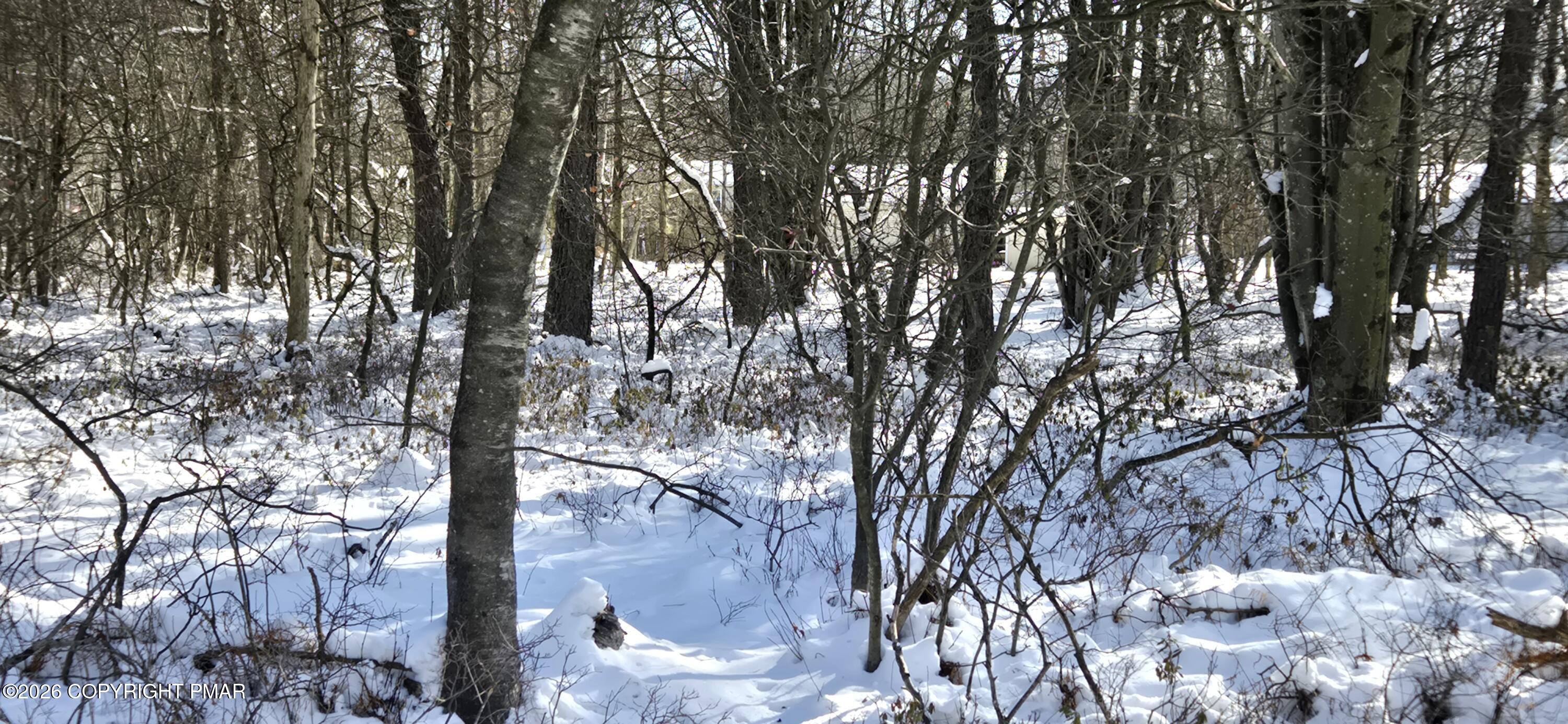 DP1445 Blackfoot Trail