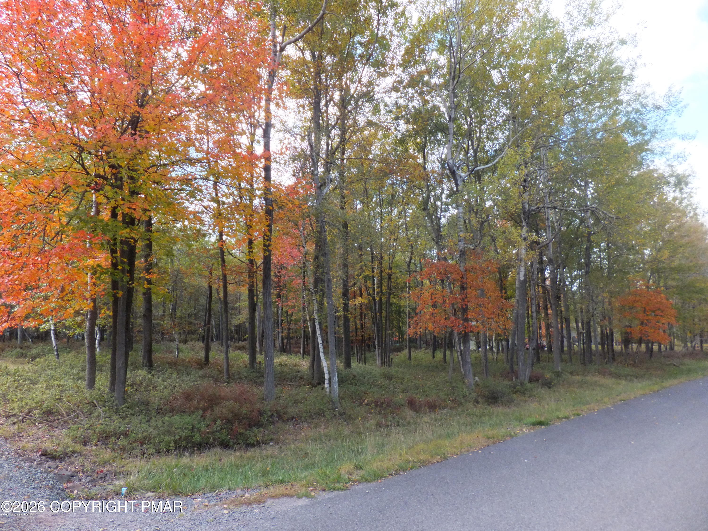 Forest Hill Dr 44 Drive, Forest Hill Dr