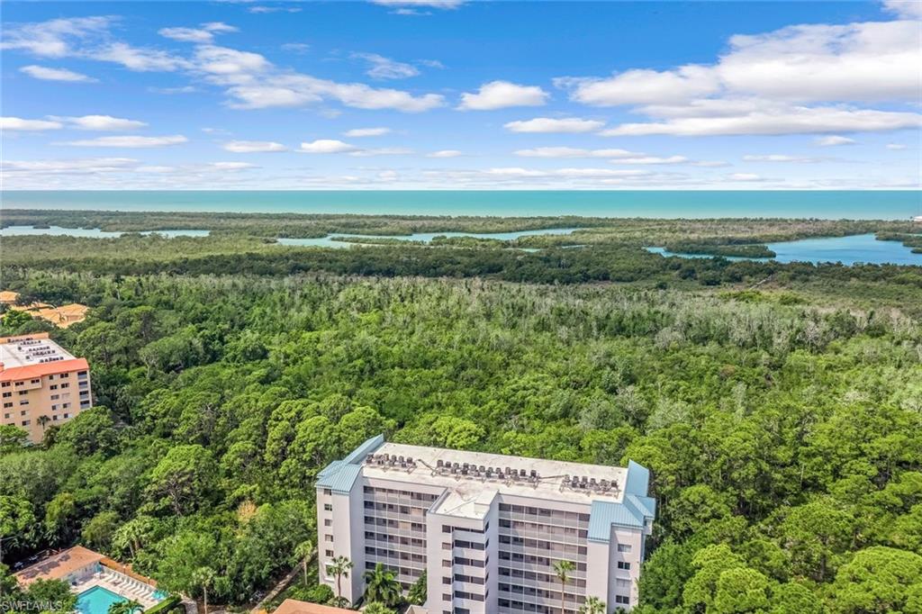 270 Naples Cove DR Unit: 3401