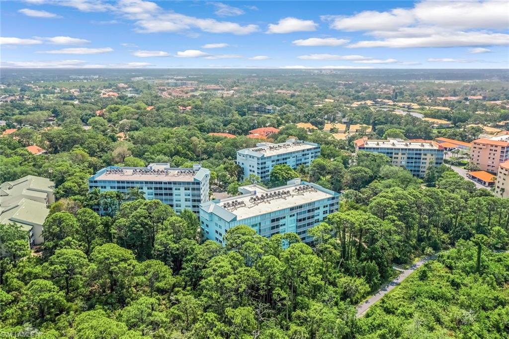 270 Naples Cove DR Unit: 3401