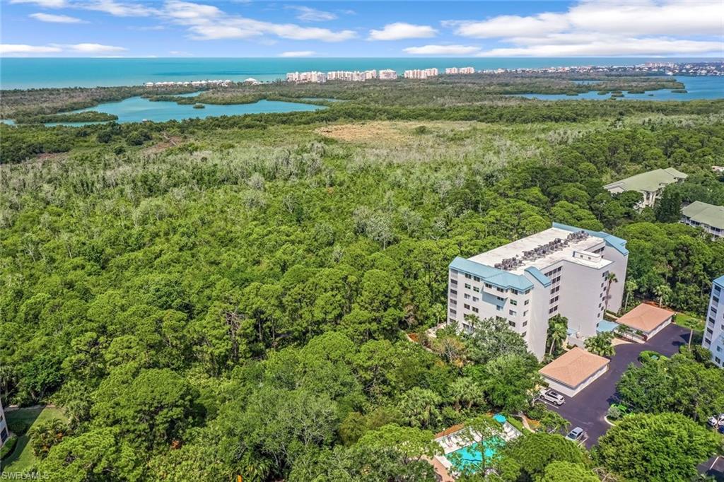 270 Naples Cove DR Unit: 3401