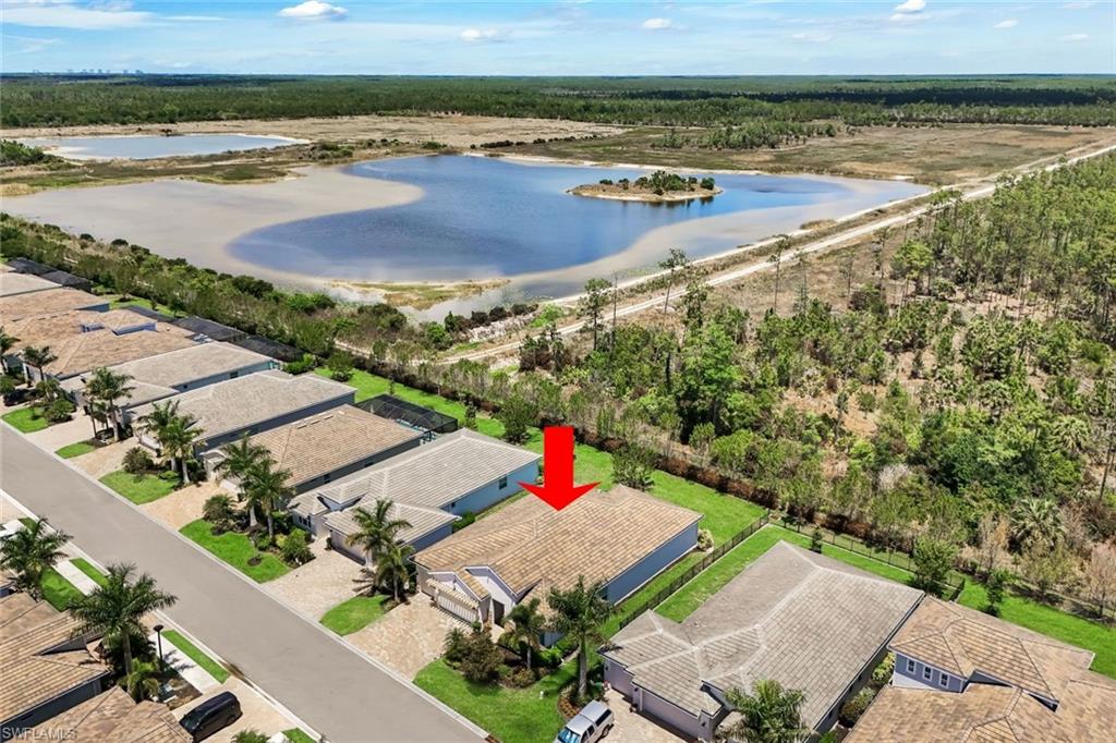 28105 Captiva Shell LOOP