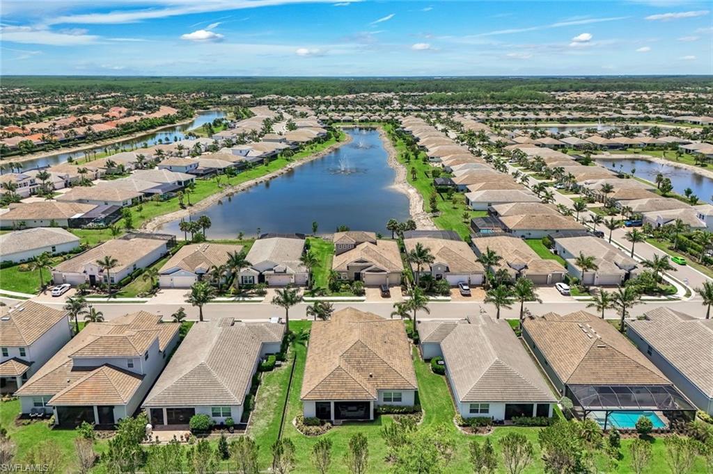28105 Captiva Shell LOOP