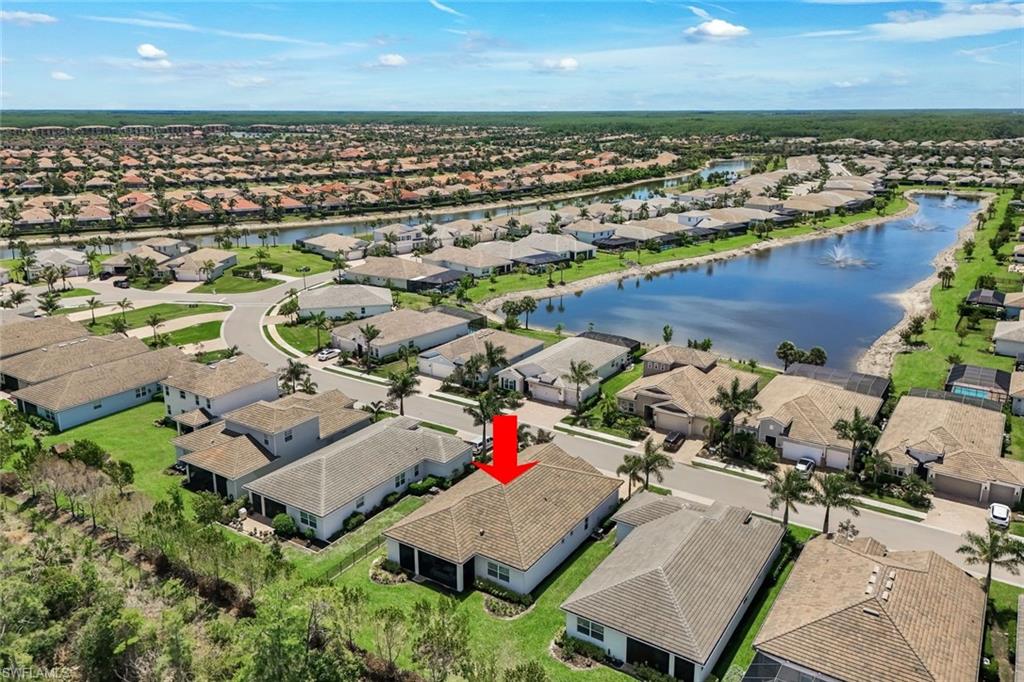 28105 Captiva Shell LOOP