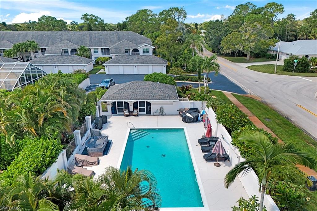 Aerial view of a backyard pool and patio surrounded by tropical landscaping.