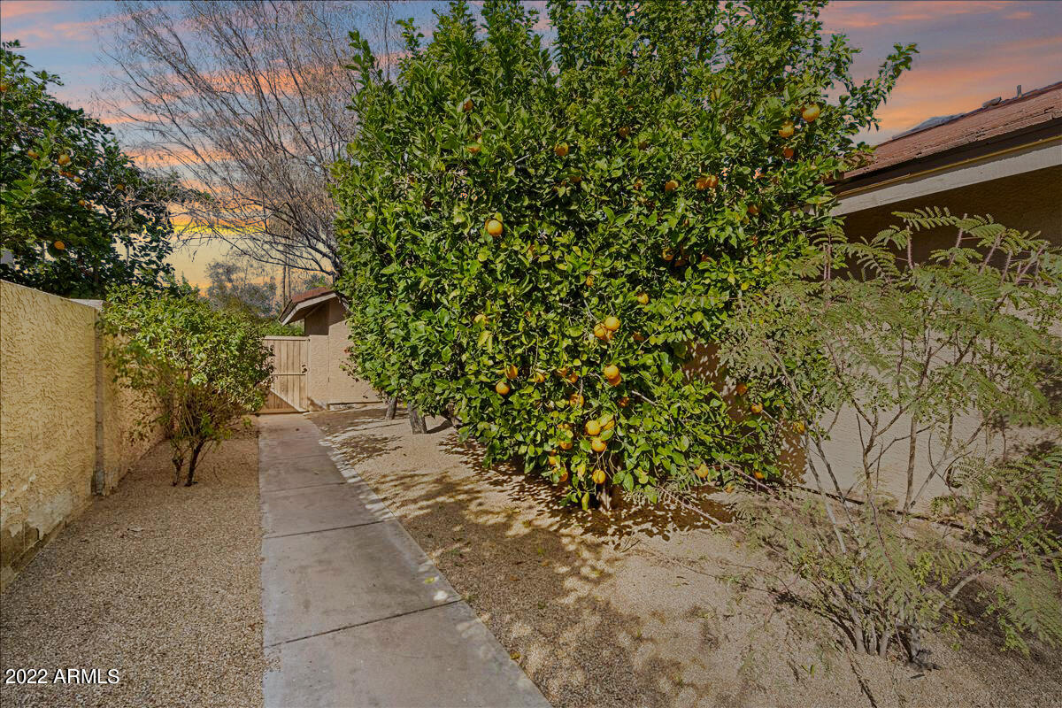 1353 E BRENTRUP Drive