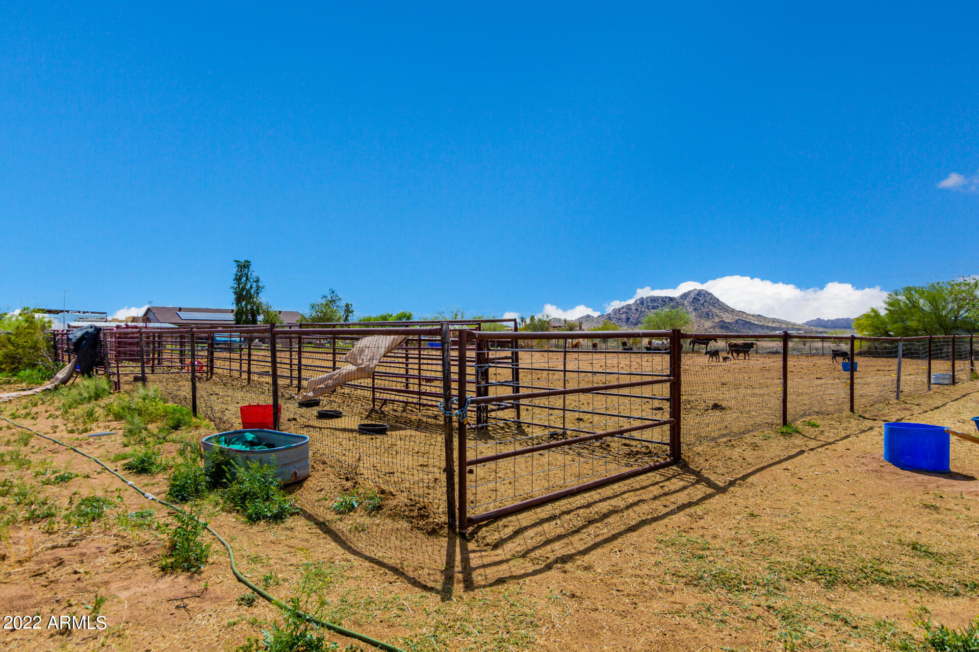 20445 W THISTLE LANDING Drive