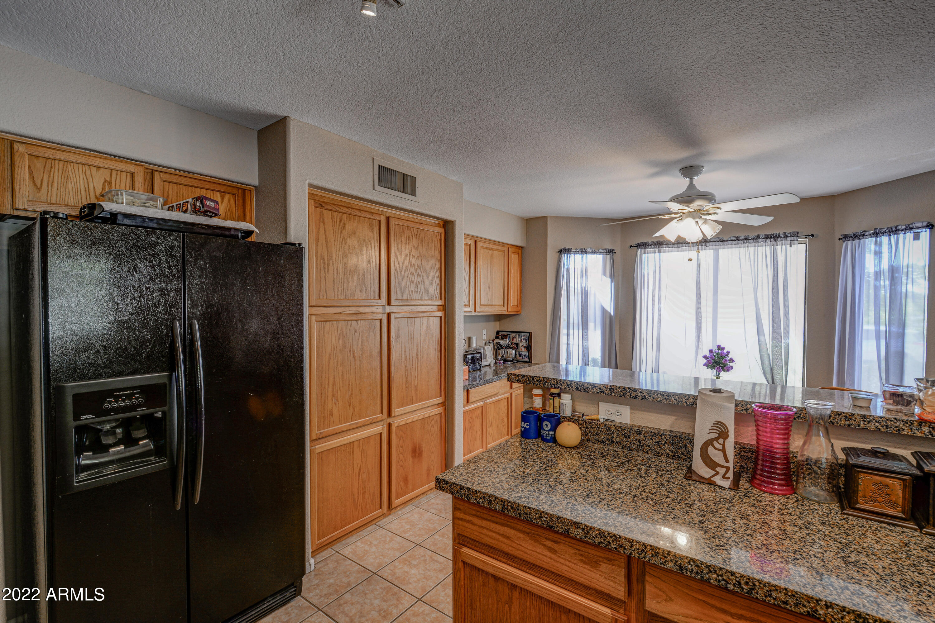 3822 W BLACKHAWK Drive