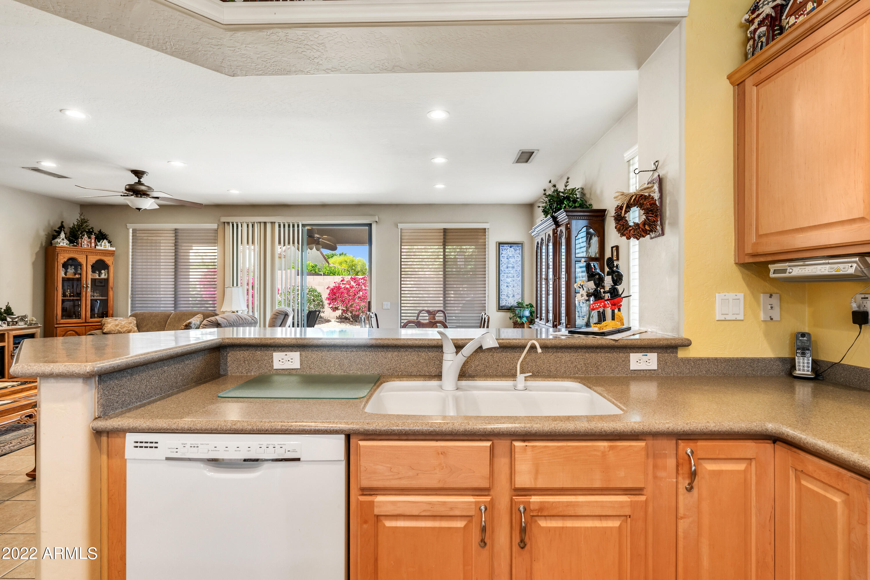 16422 W CENTURY PLANT Drive
