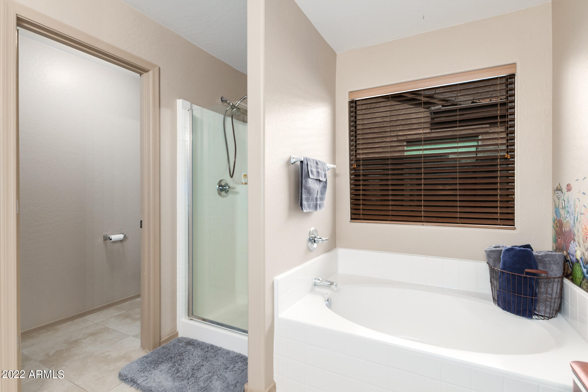 35935 W COSTA BLANCA Drive