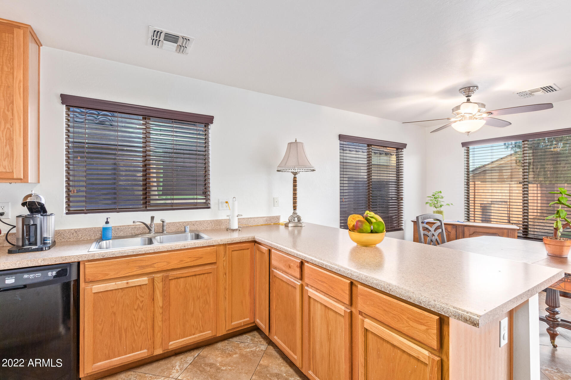13017 W MAUNA LOA Lane