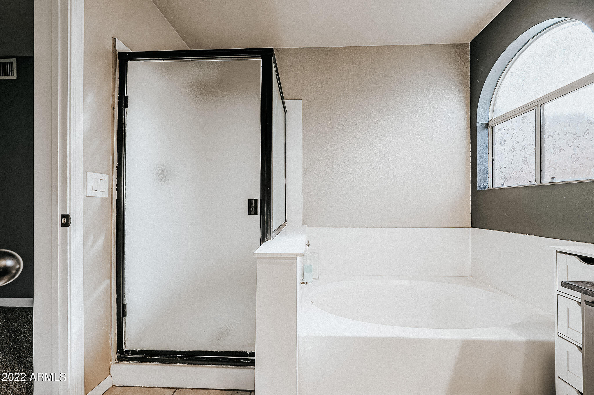 4330 W CAMINO VIVAZ --
