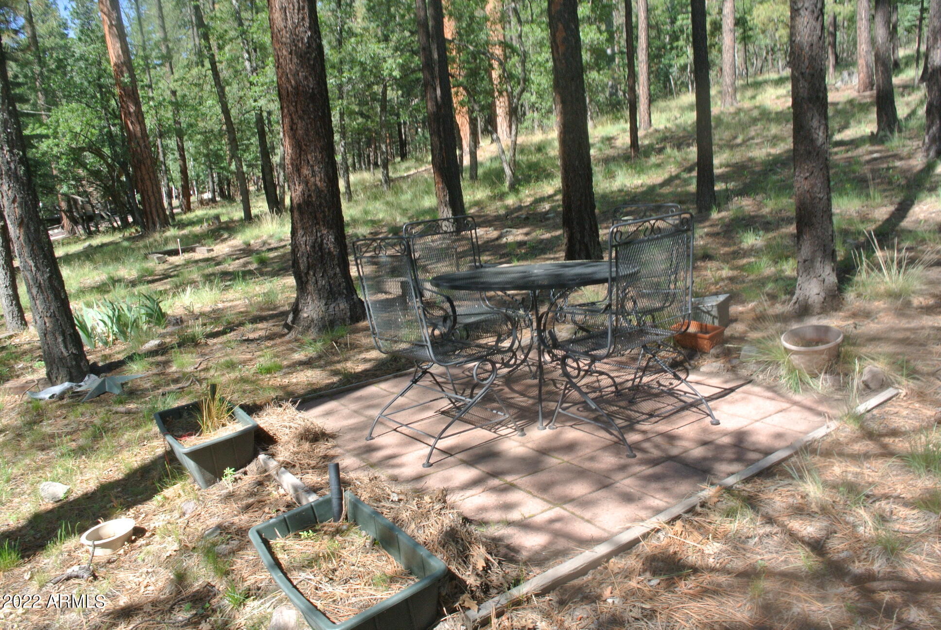 11 COUNTY ROAD 2068 --
