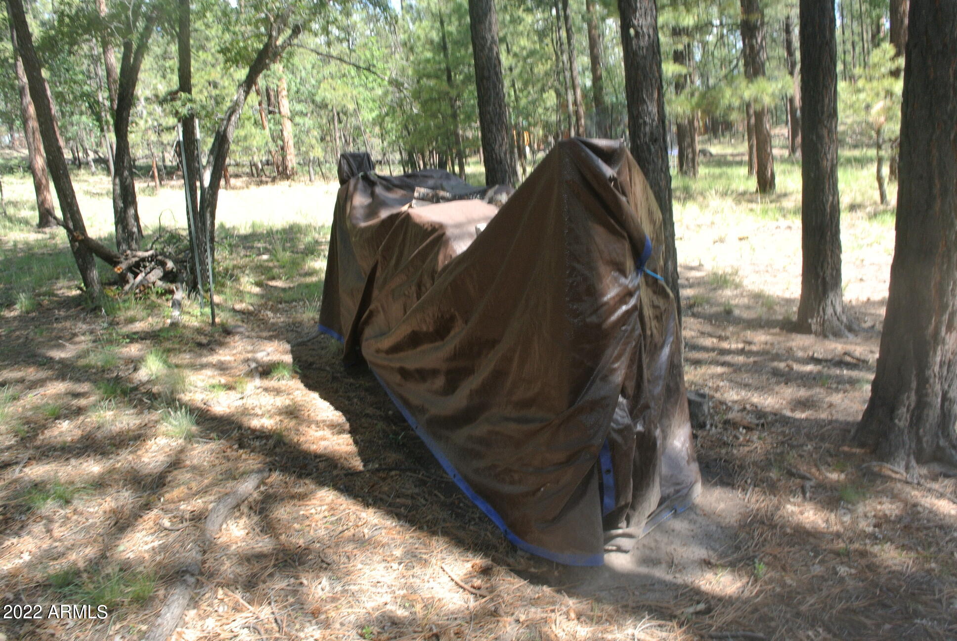 11 COUNTY ROAD 2068 --