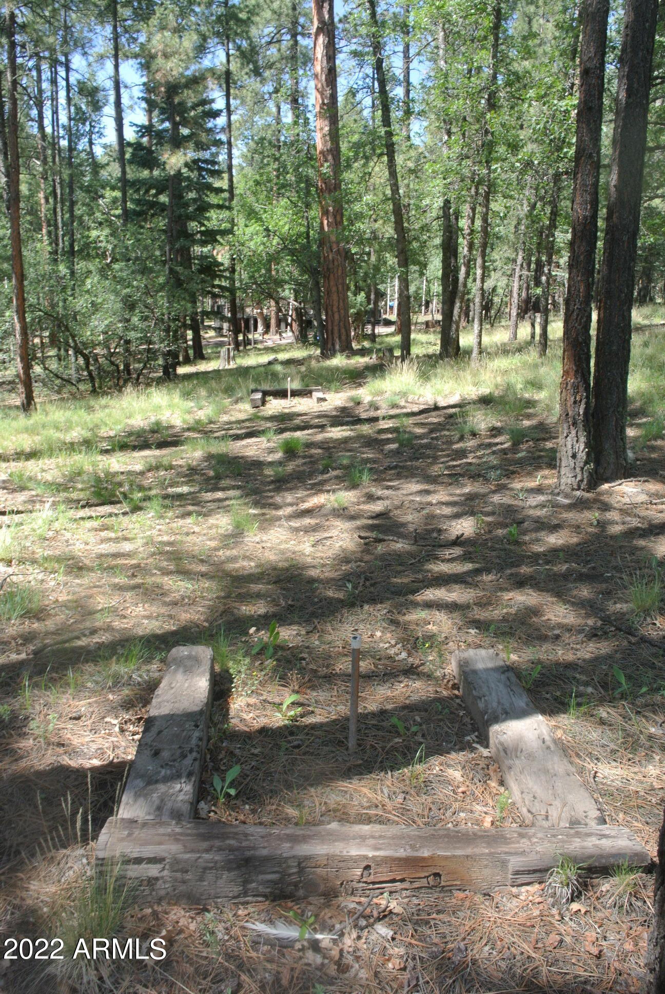 11 COUNTY ROAD 2068 --