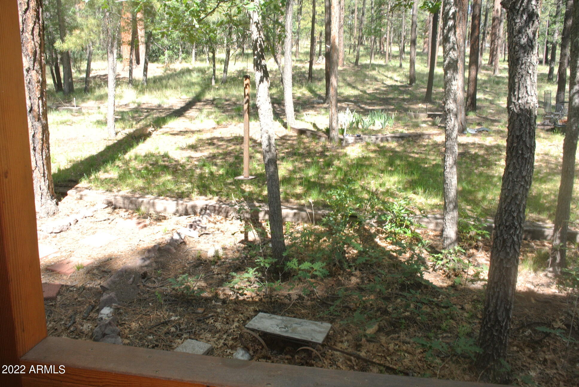 11 COUNTY ROAD 2068 --