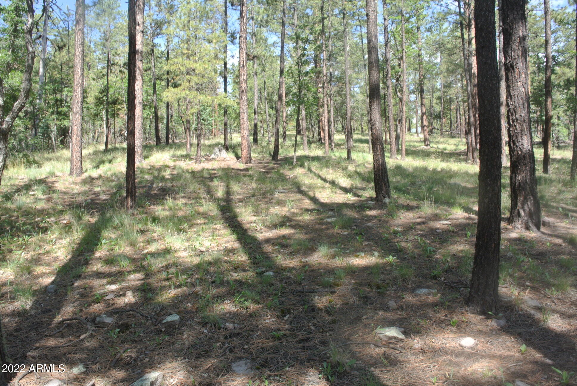 11 COUNTY ROAD 2068 --