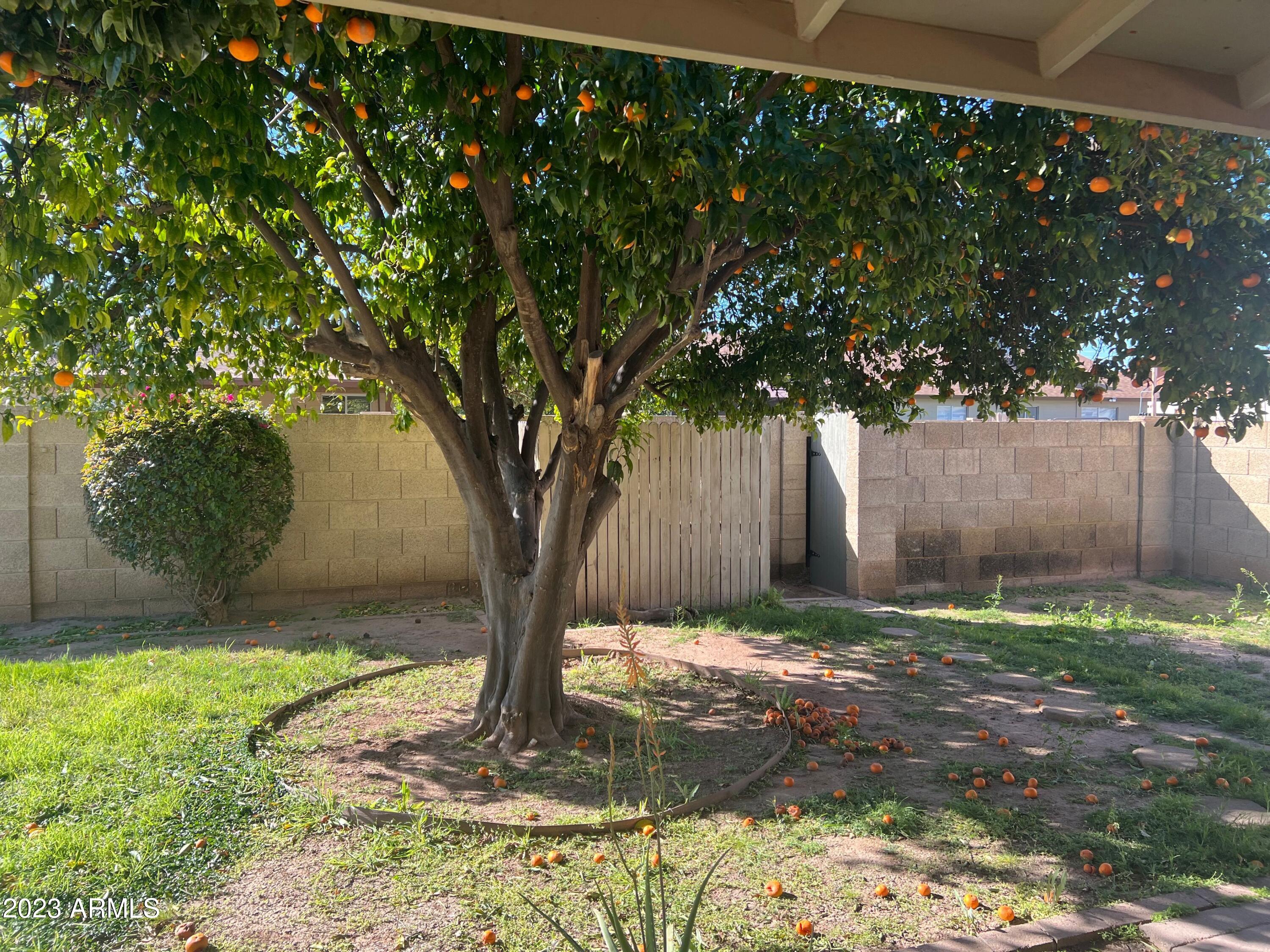 613 E VIA VILLA Street