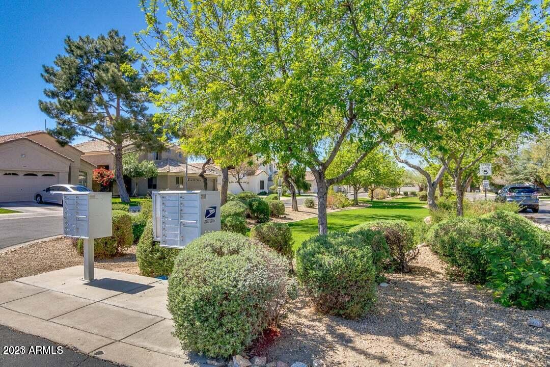 2727 W LAMAR Road