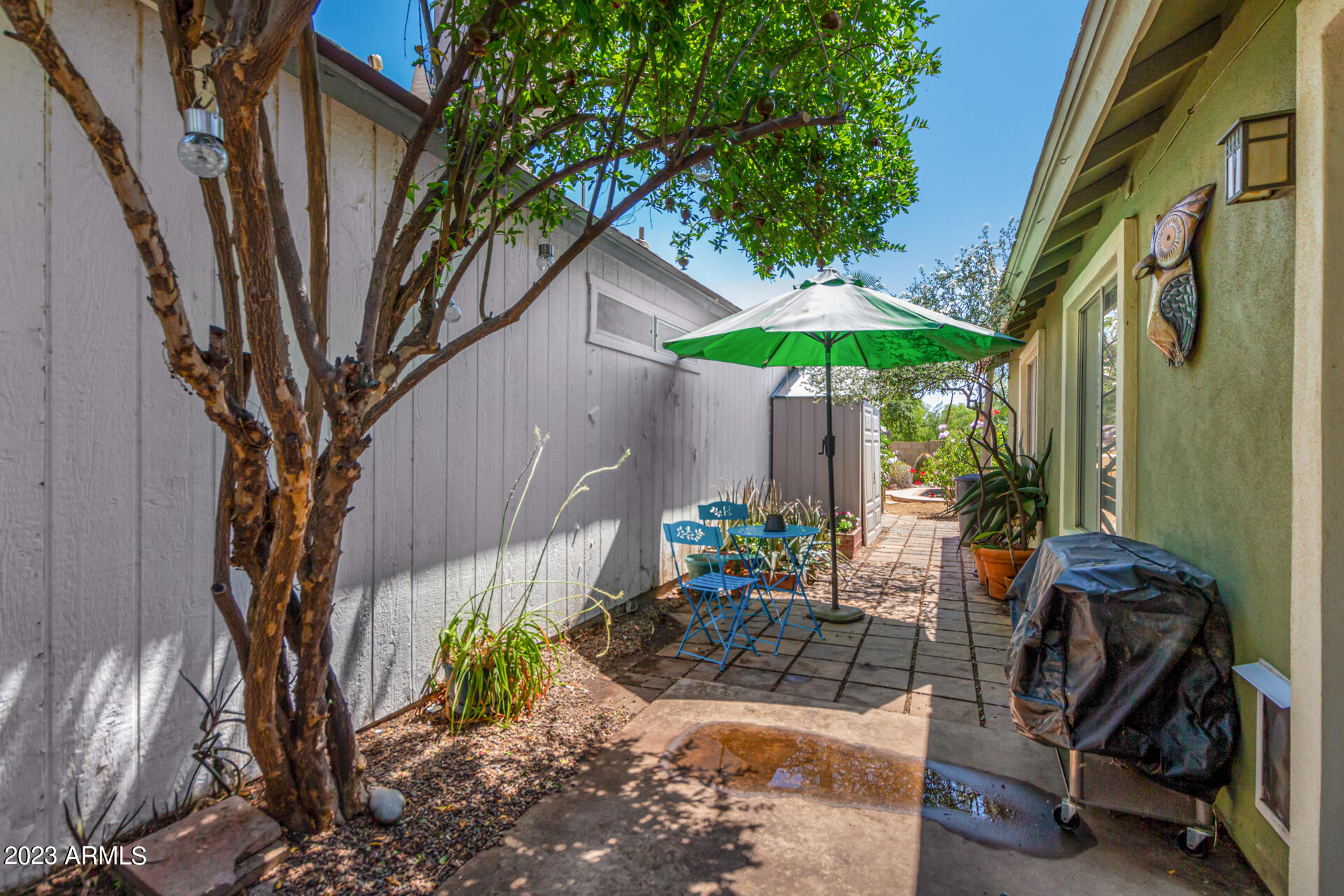 10659 N 63RD Drive