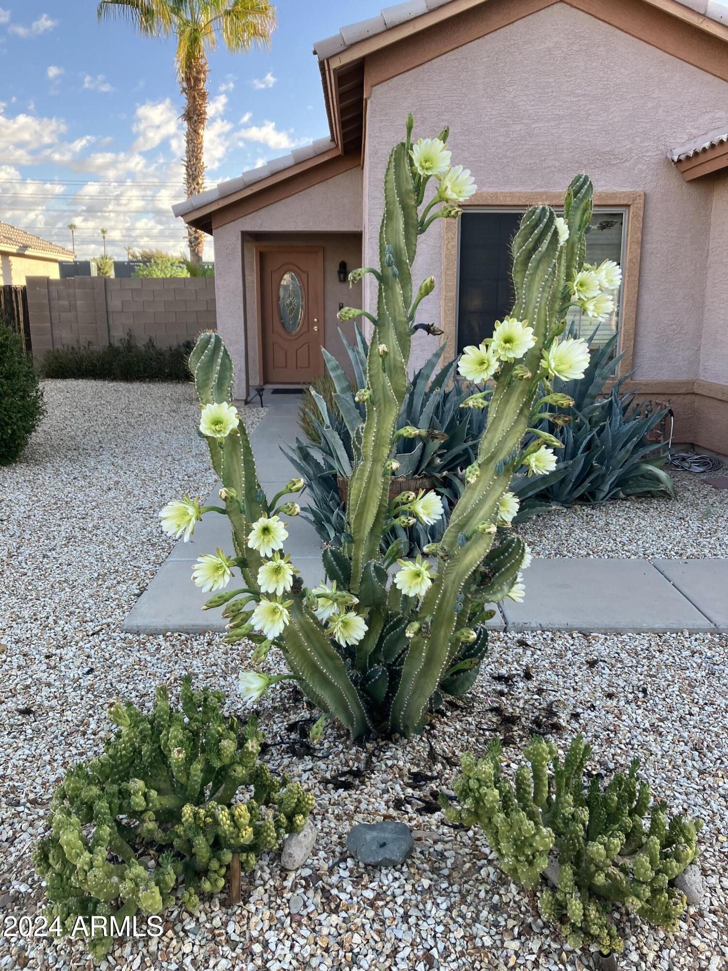 17759 N CORNERSTONE Trail