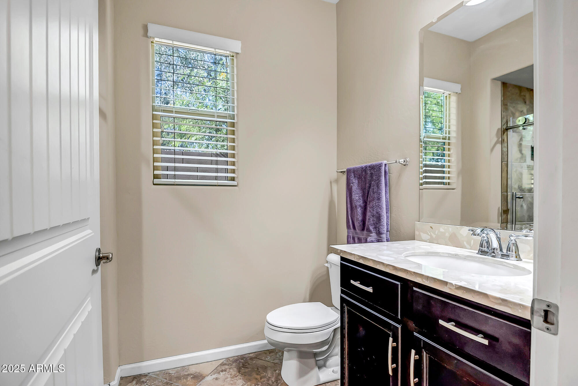 12243 W DESERT MOON Way