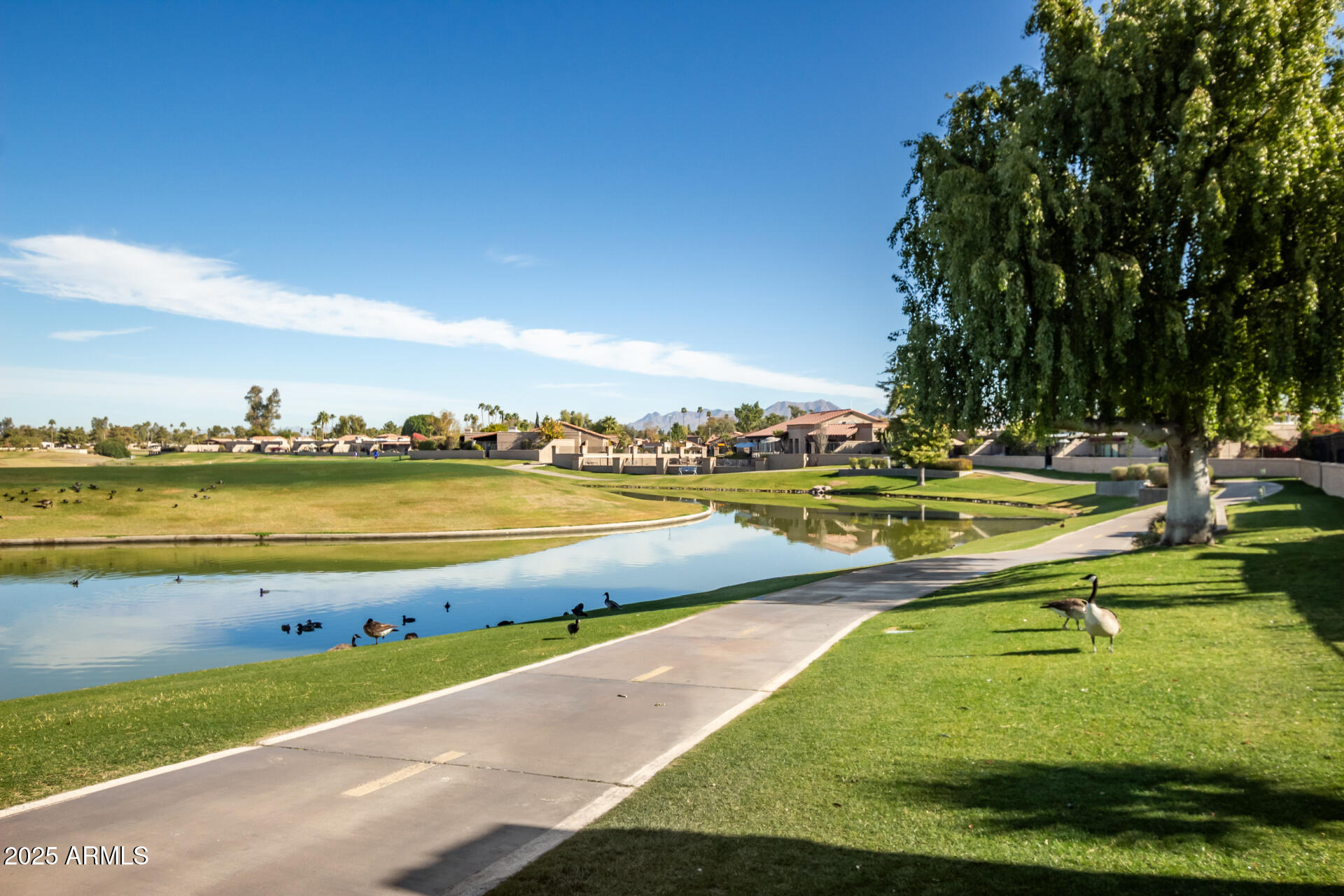 8082 E VIA DEL VENCINO --