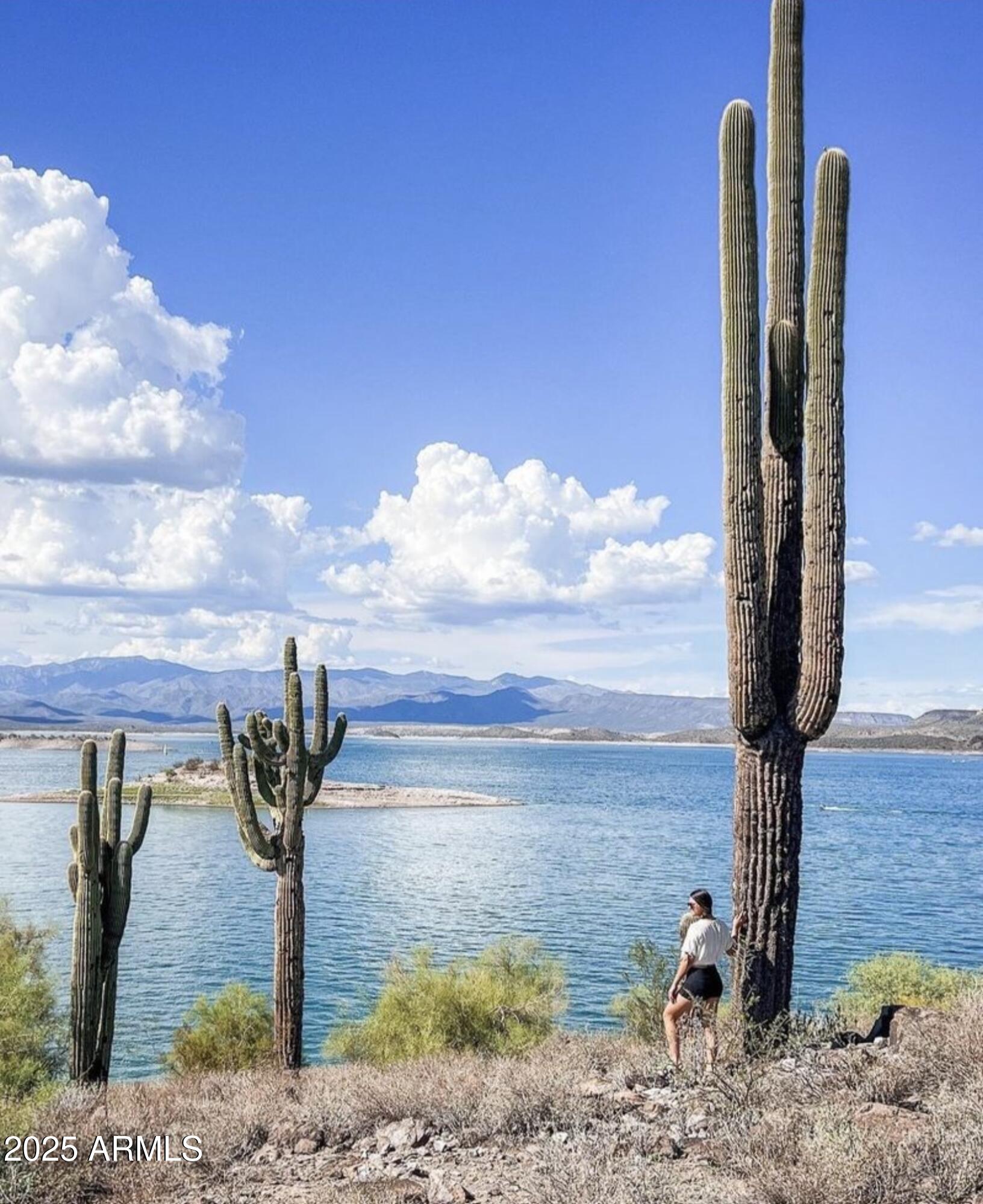 17241 N 16TH Drive, 1