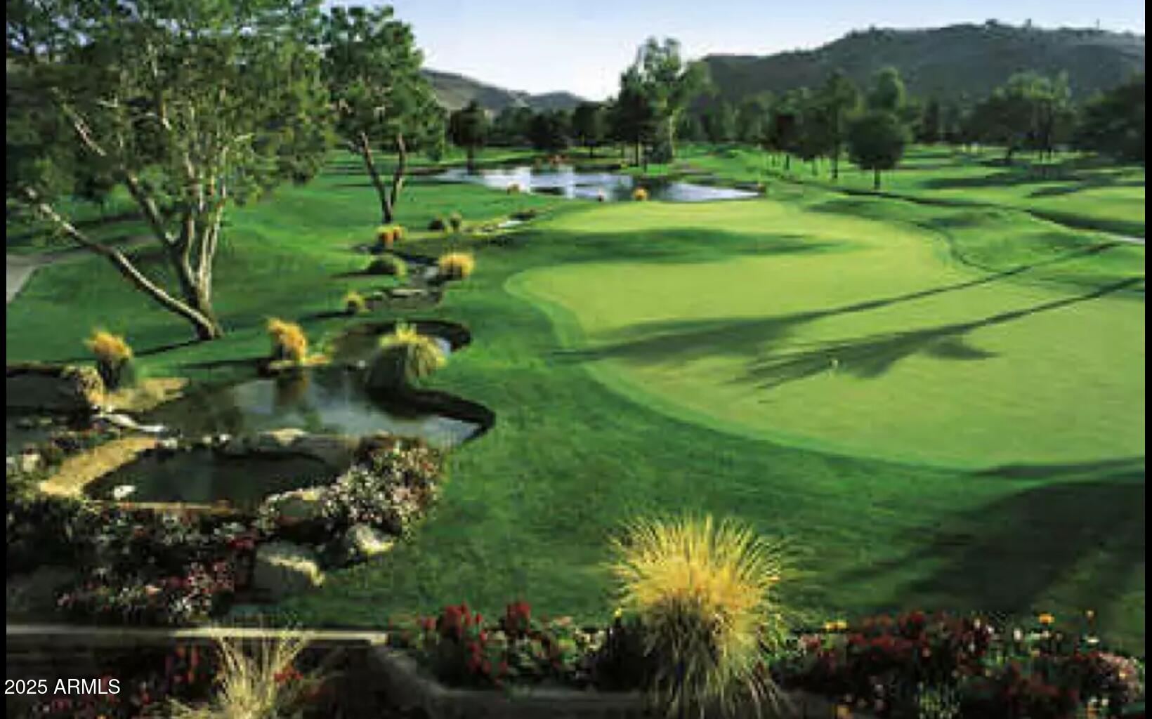 17241 N 16TH Drive, 1