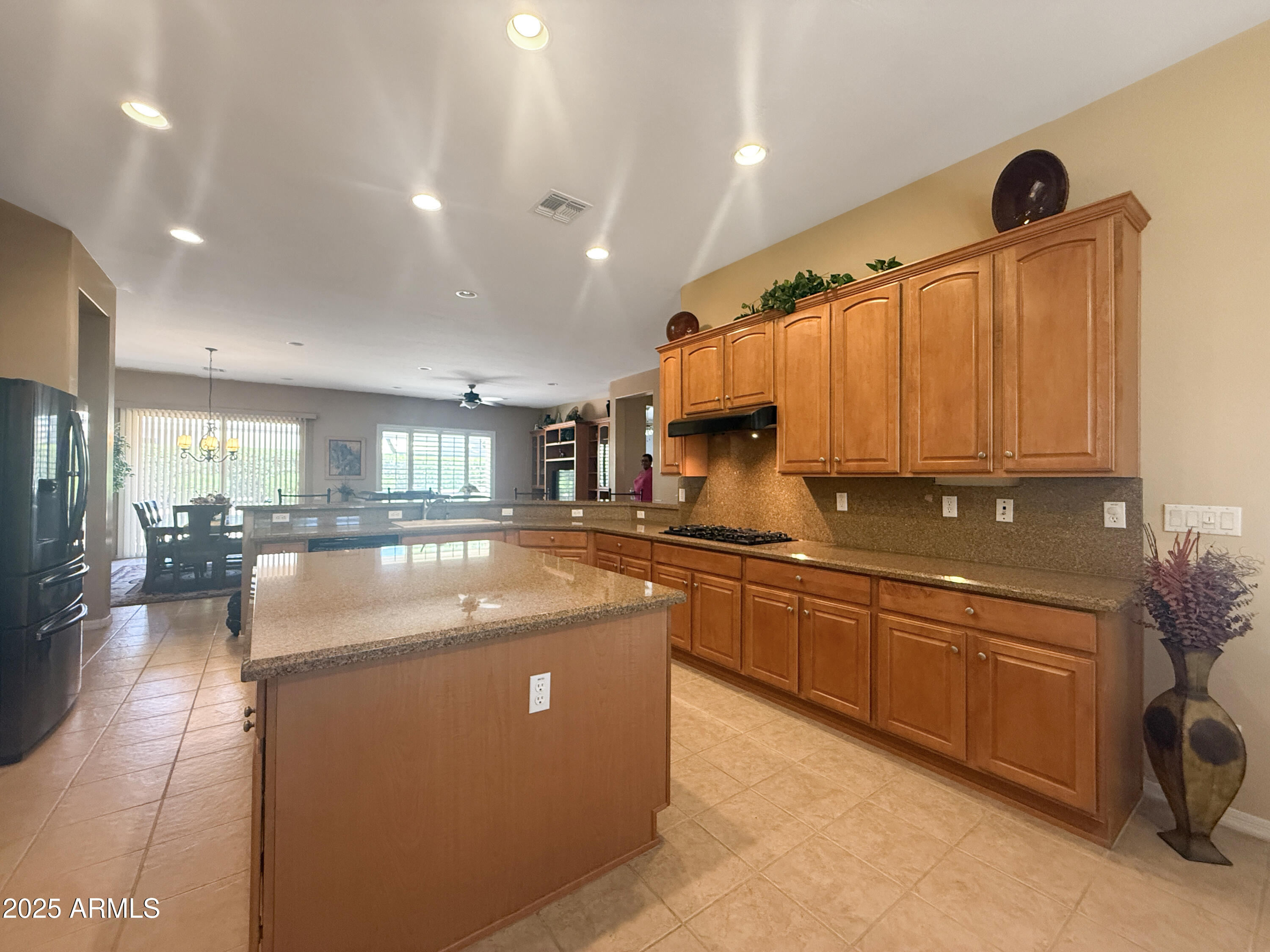 12826 W LA VINA Drive