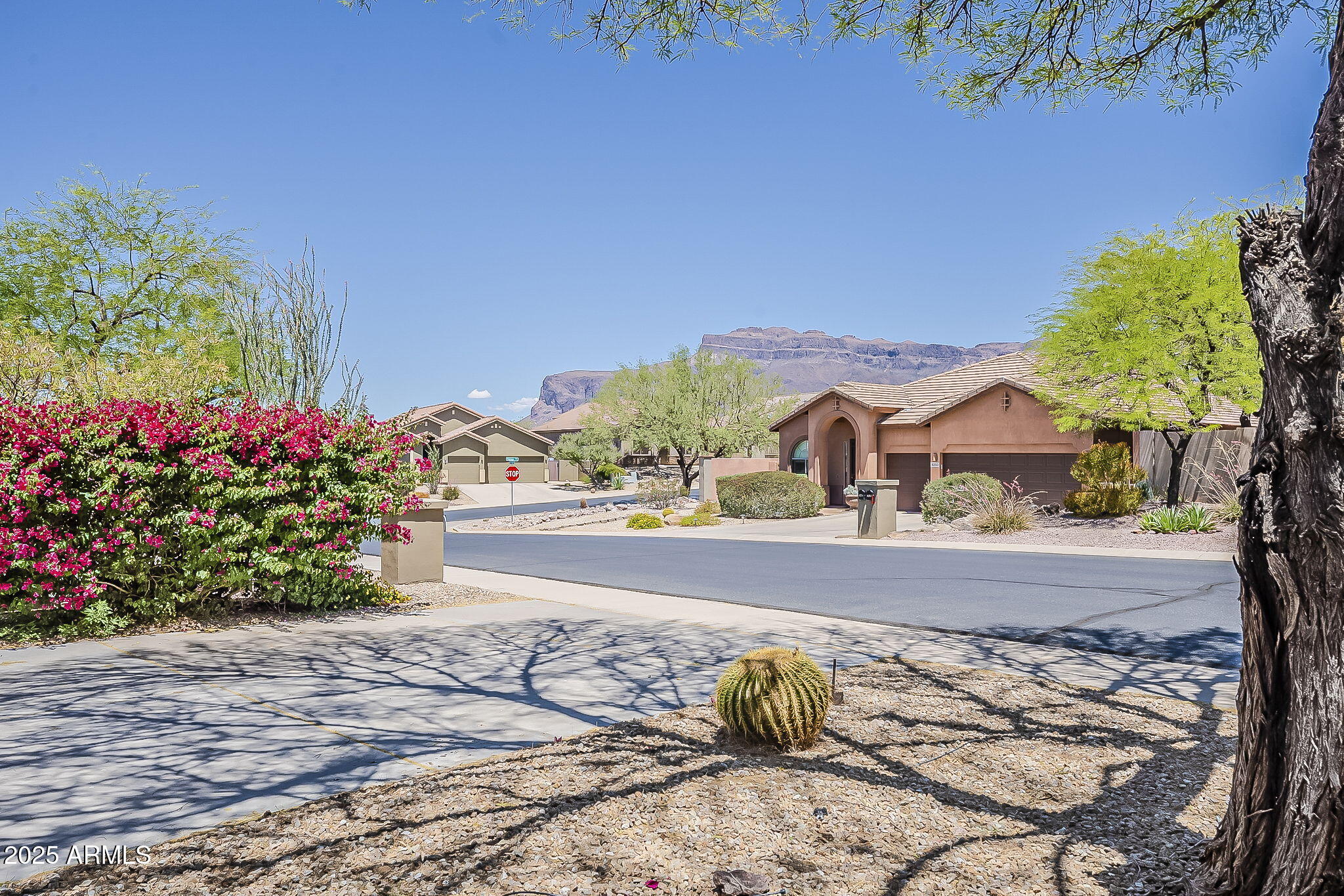 4293 S COLUMBINE Way