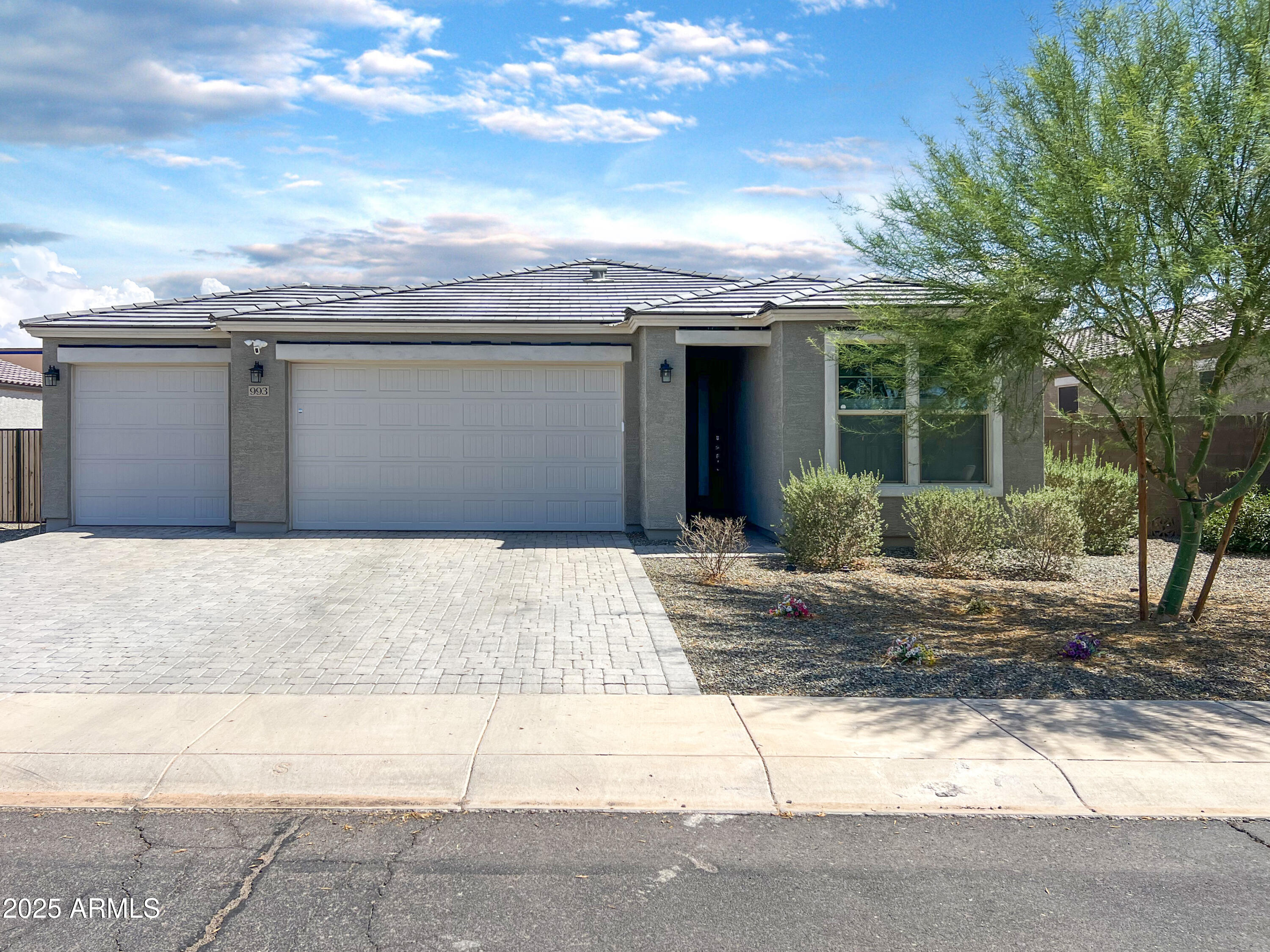 993 W SHANNONS Way