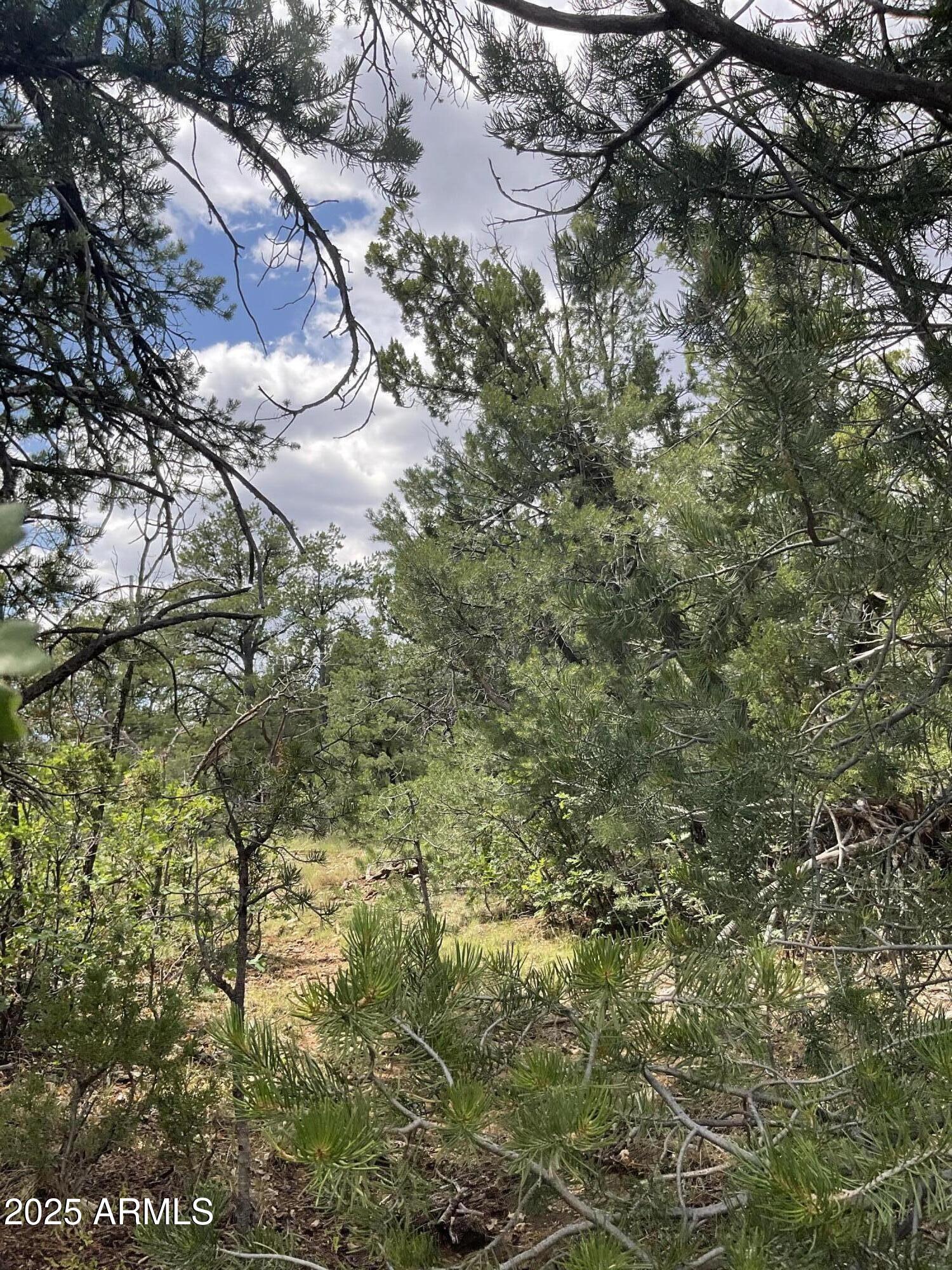 8670 HAVEN CREST Drive, 227