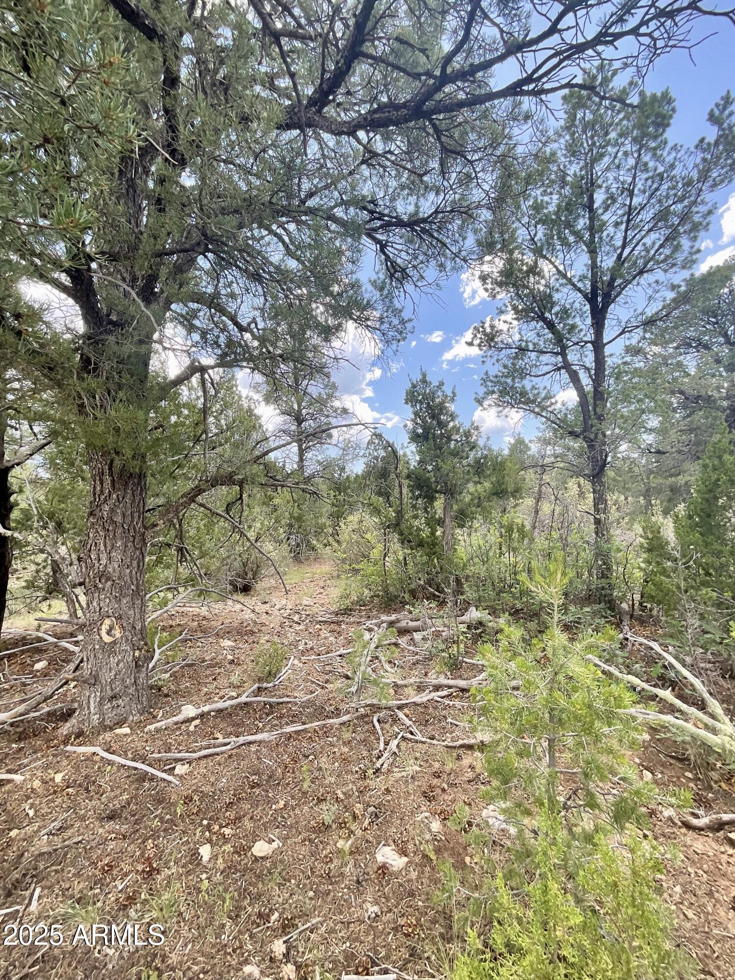 8670 HAVEN CREST Drive, 227