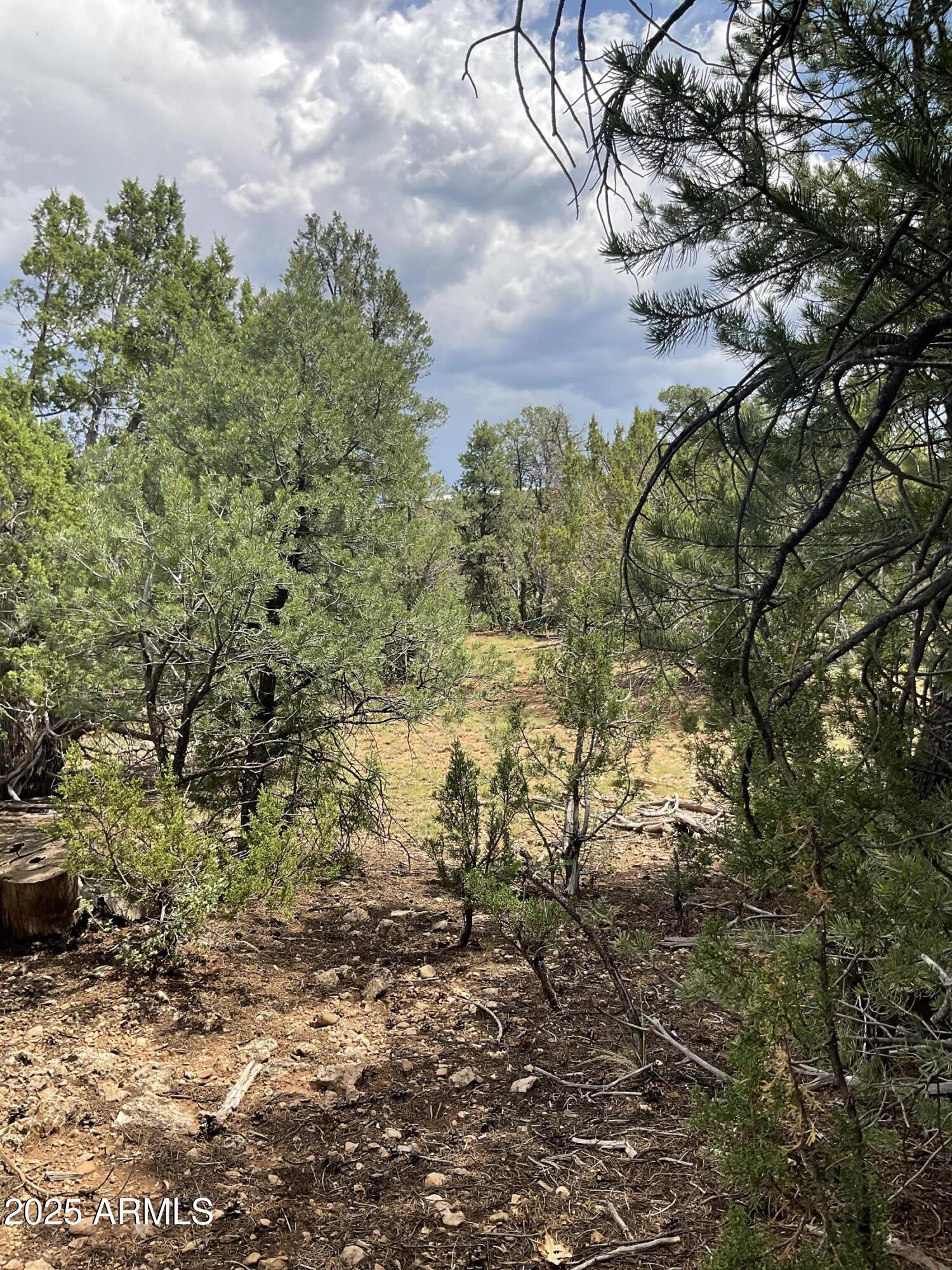 8670 HAVEN CREST Drive, 227