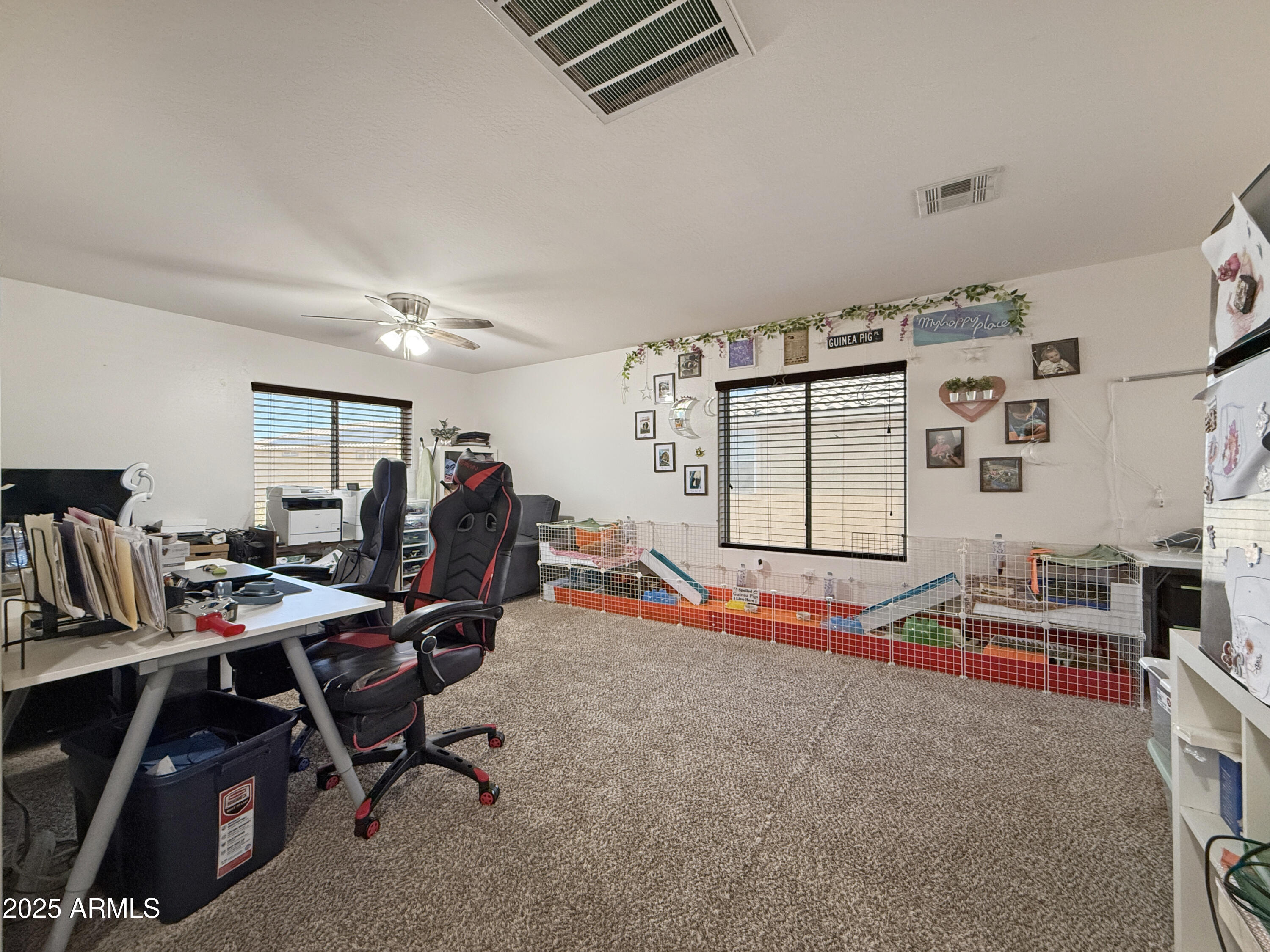 22248 W SHADOW Drive